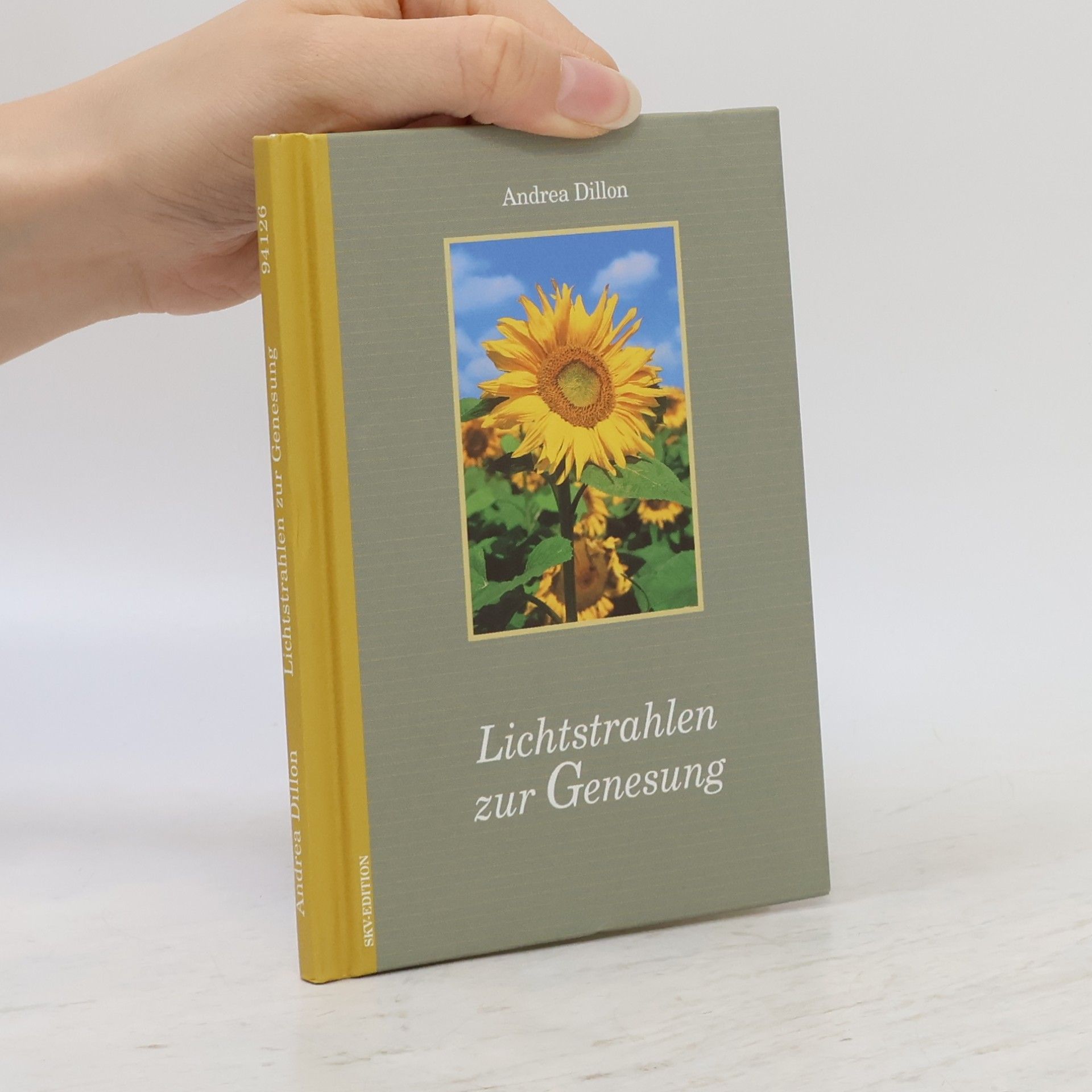 Andrea Dillon Lichtstrahlen zur Genesung