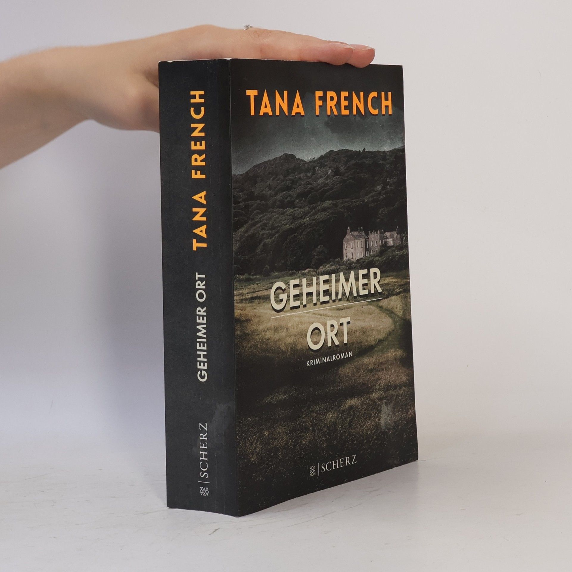 Tana French Geheimer Ort