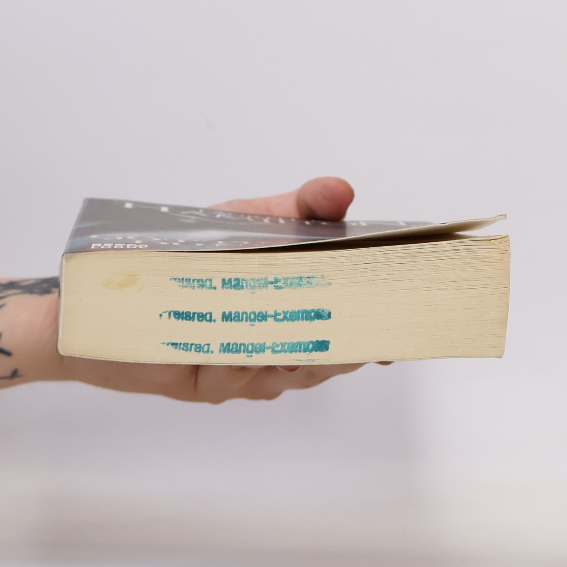 Laurell Kaye Hamilton Göttin der Dunkelheit