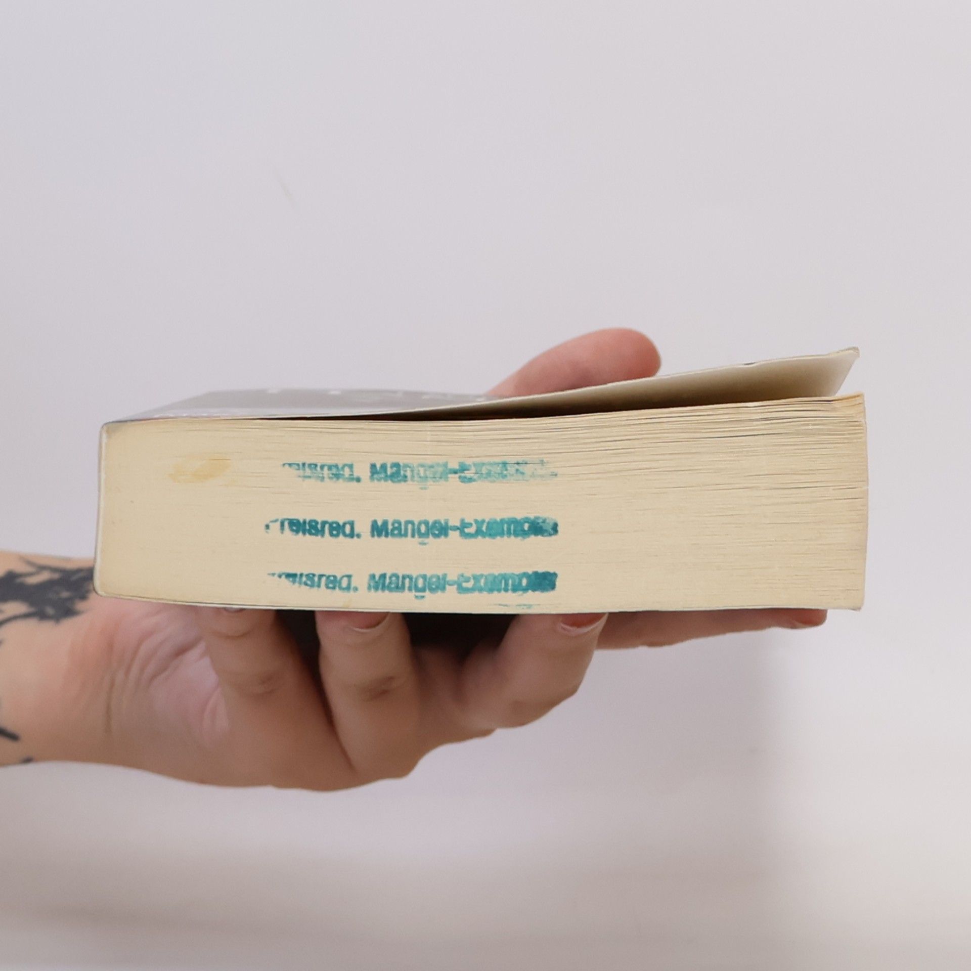Laurell Kaye Hamilton Göttin der Dunkelheit