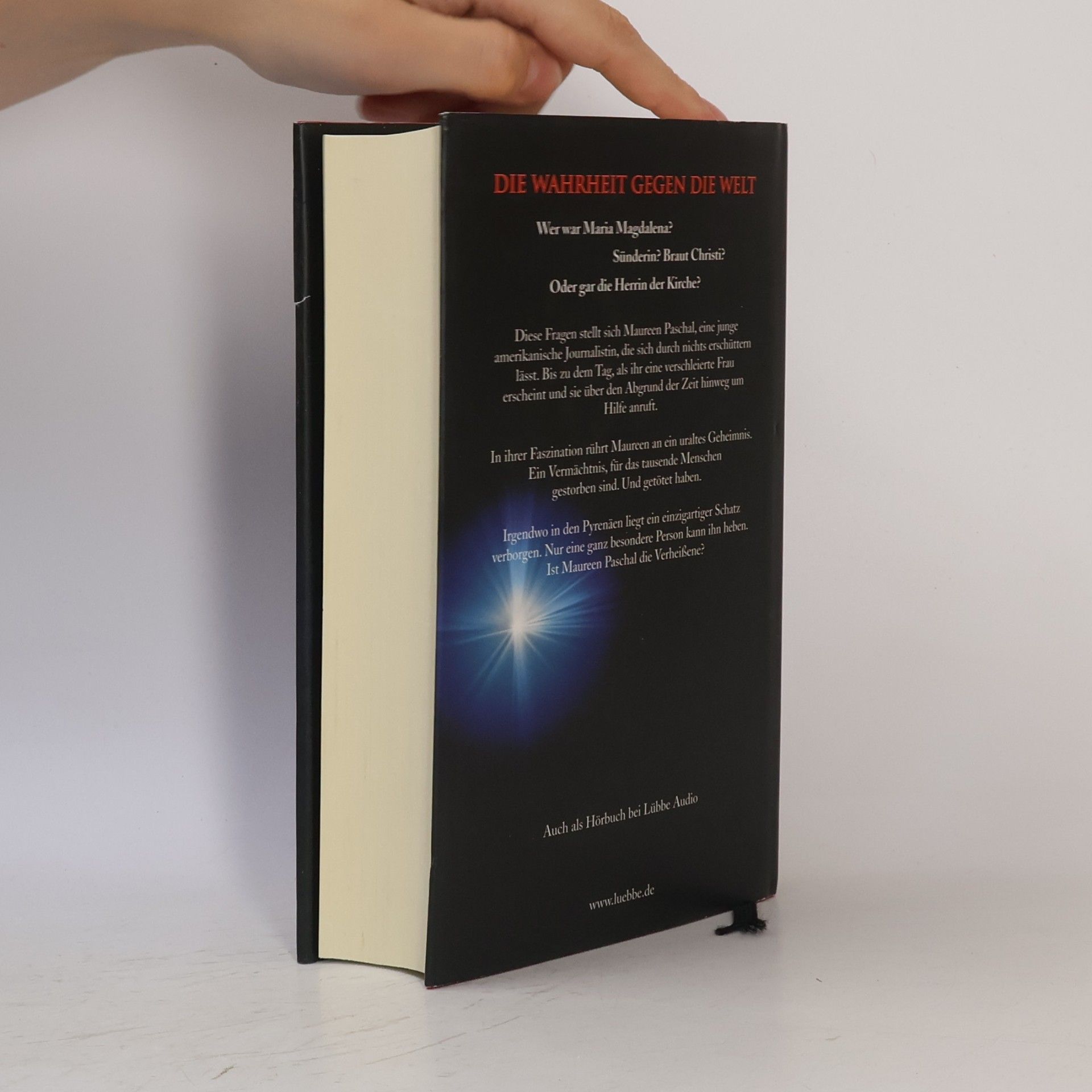 Kathleen McGowan Das Magdalena-Evangelium