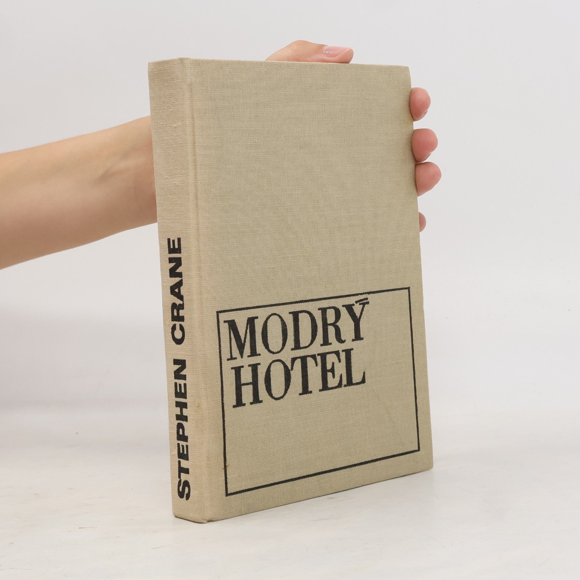 Stephen Crane Modrý hotel