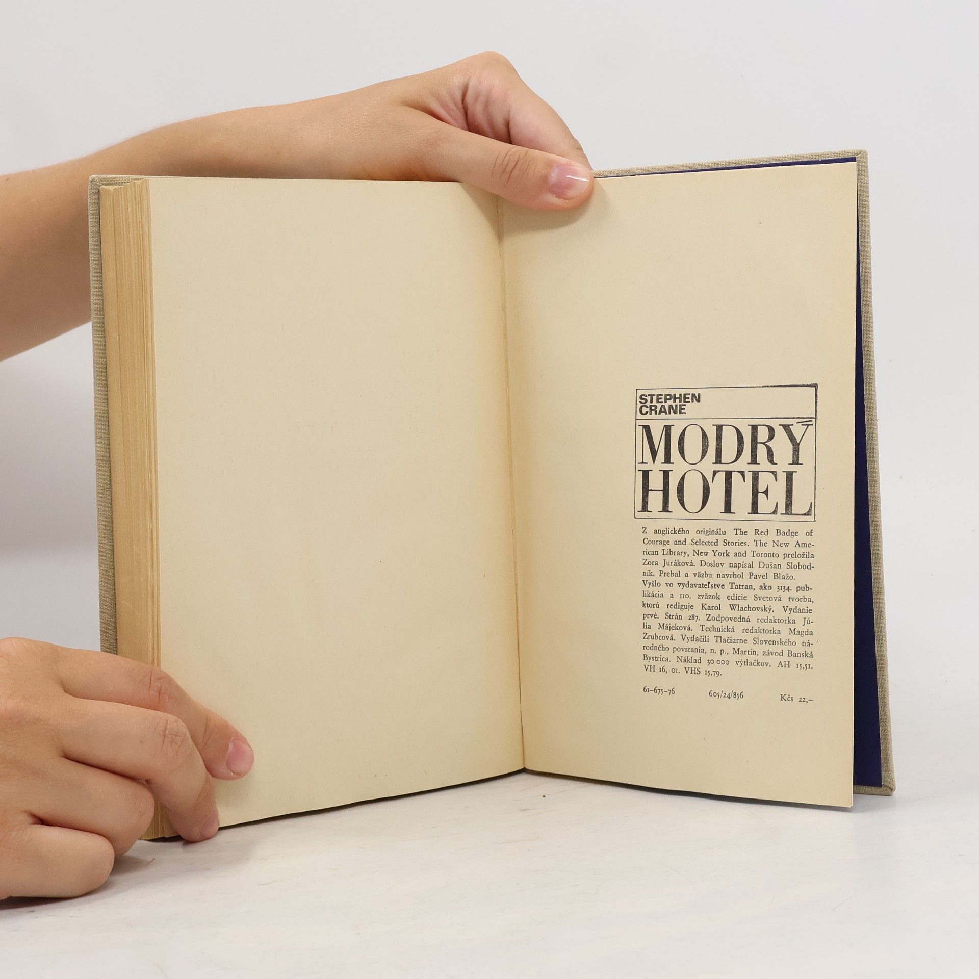 Stephen Crane Modrý hotel