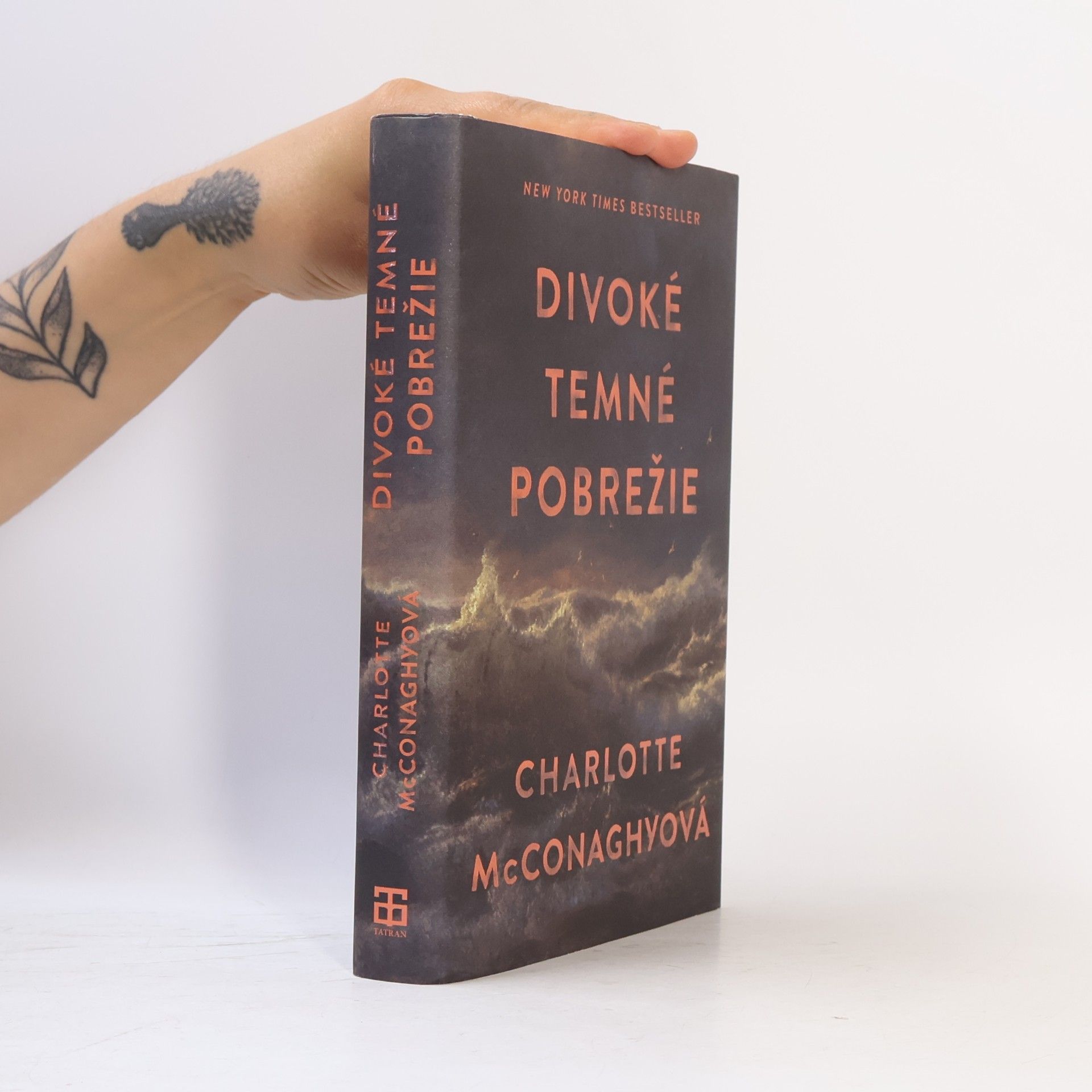 CHARLOTTE. MCCONAGHY Divoké temné pobrežie