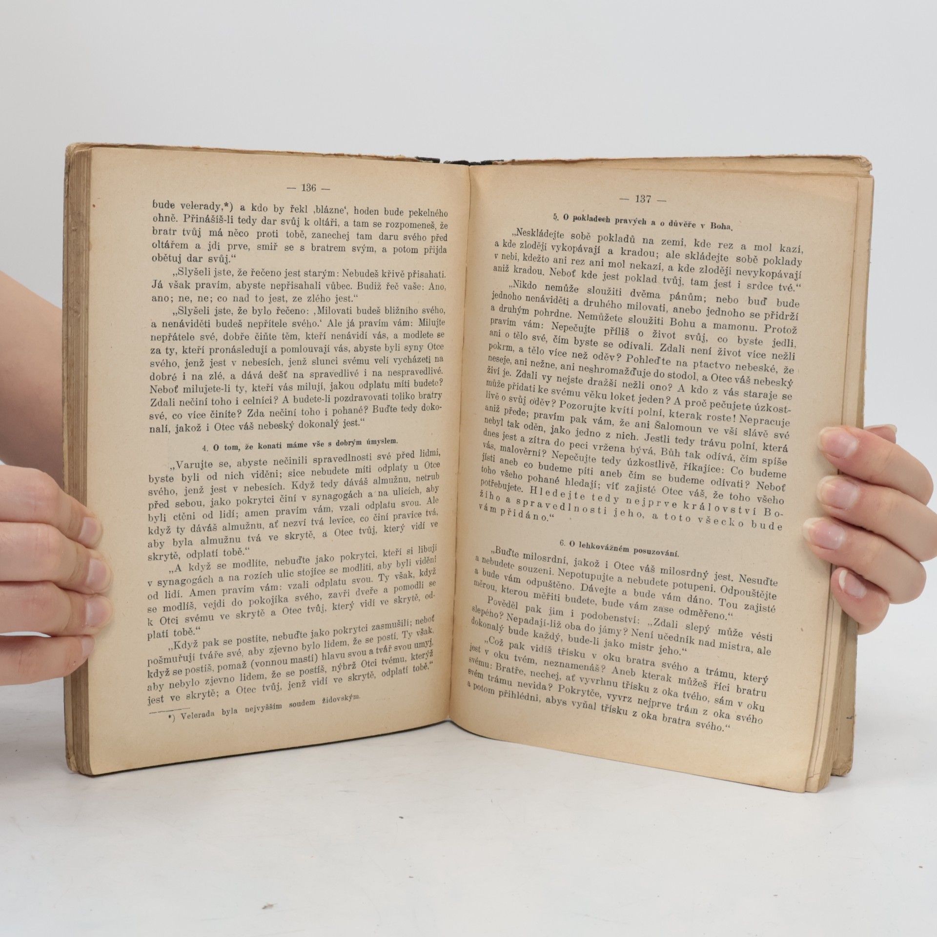 Johann Baptist Panholzer Veliká dějeprava biblická Starého i Nového zákona