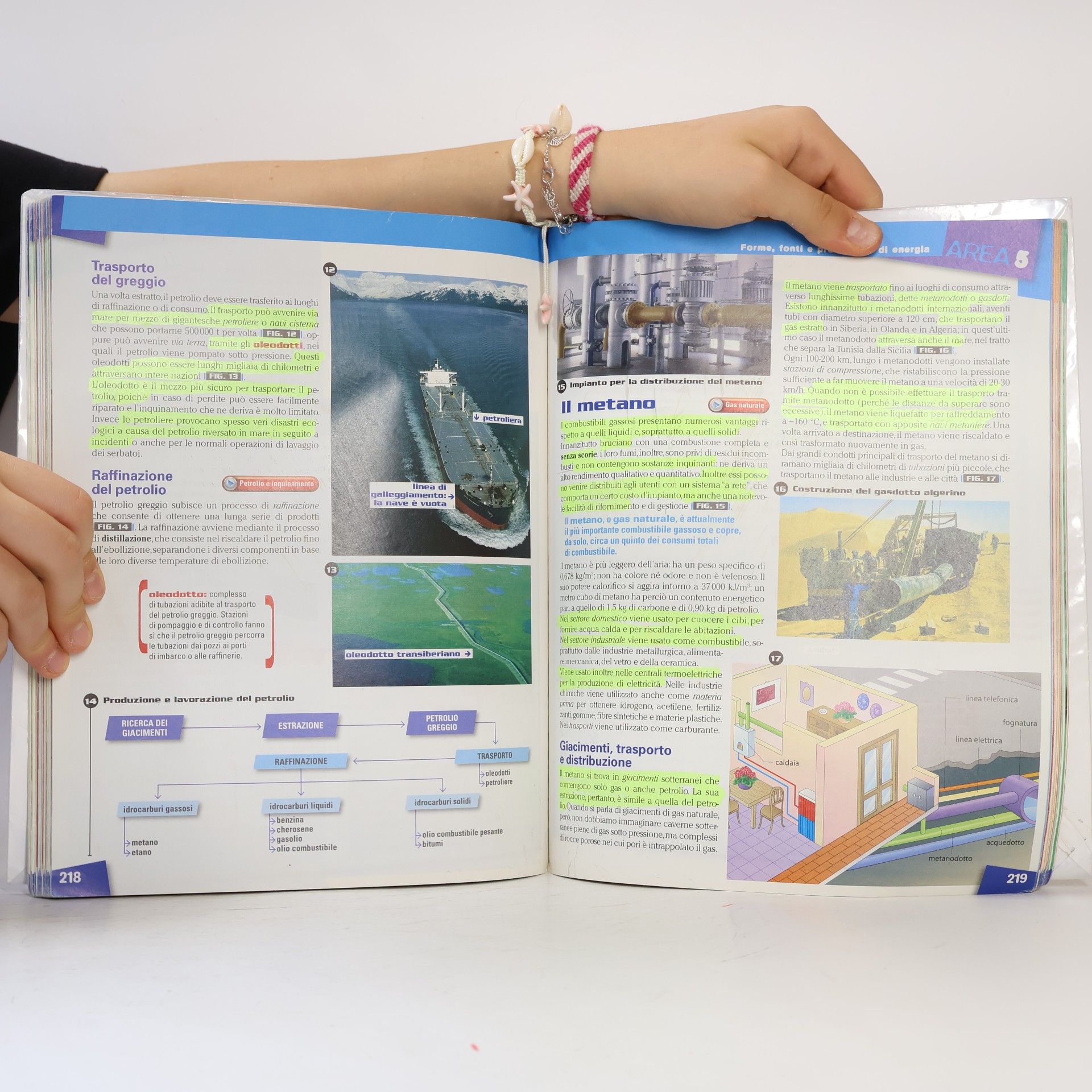 Gino Cappé Tecnocreativo. Disegno & completo. Con schede disegno-Tecnologia. Per la Scuola media. Con DVD-ROM. Con espansione online