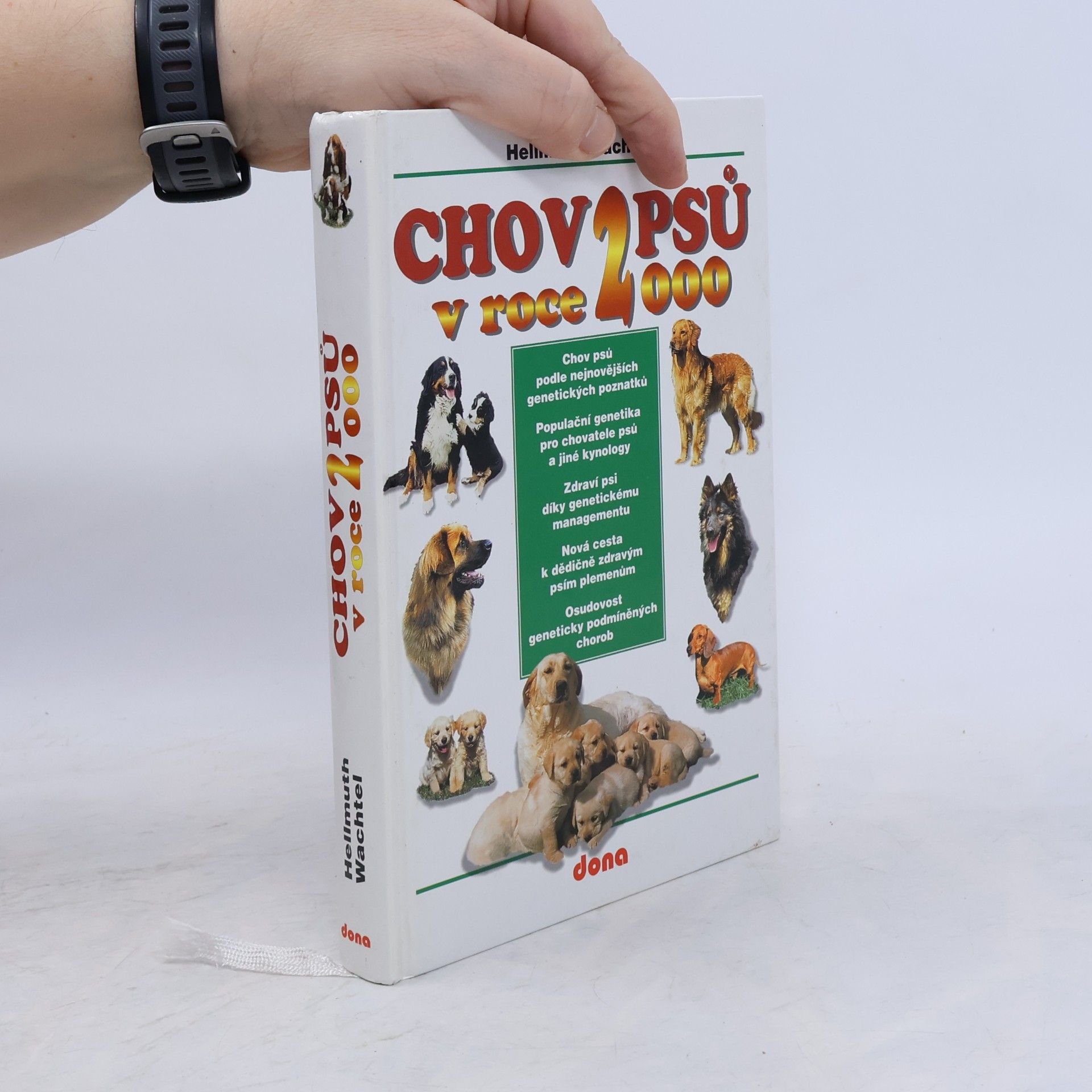 Hellmuth Wachtel Chov psů v roce 2000
