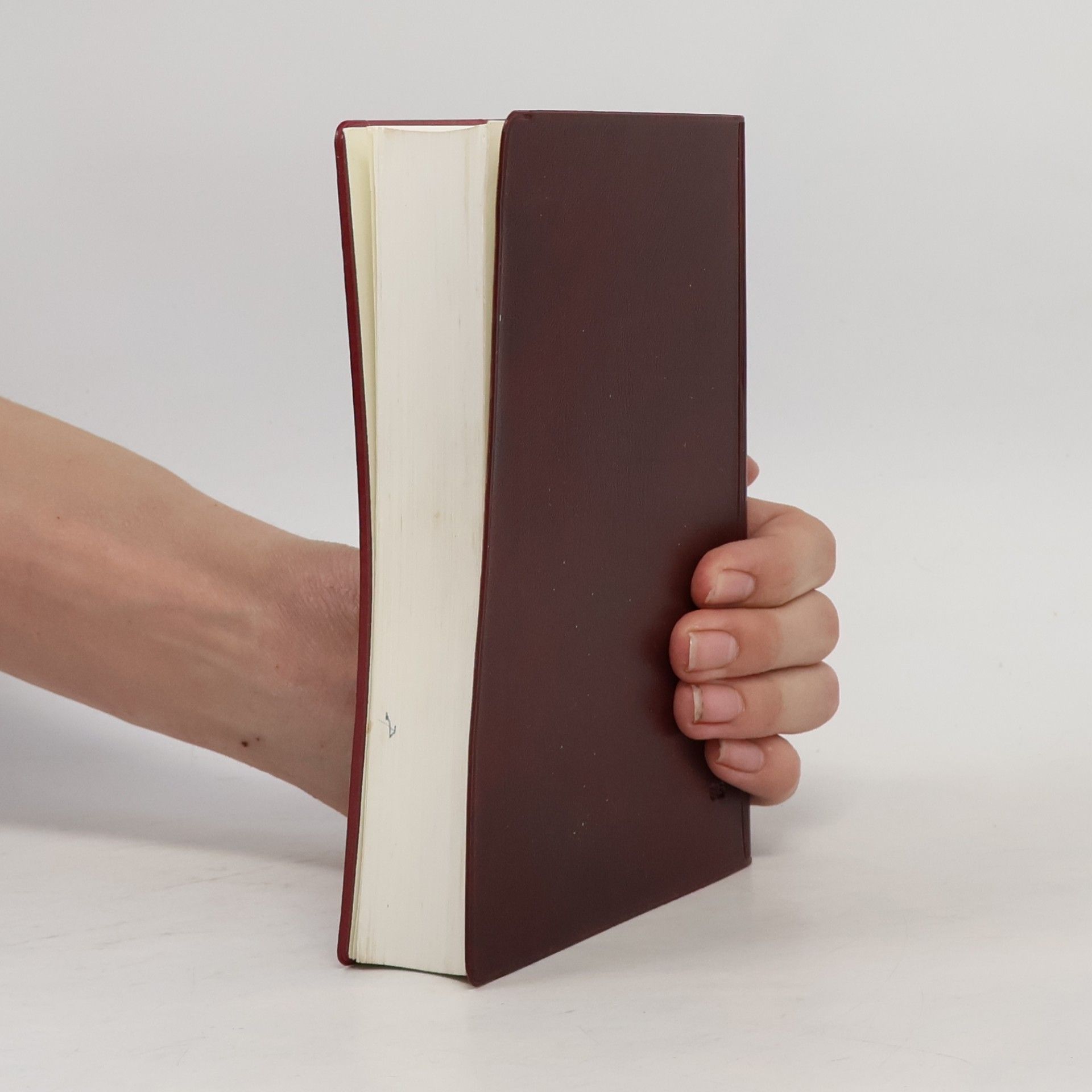 Various authors Handbijbel in NBG-vertaling 1951