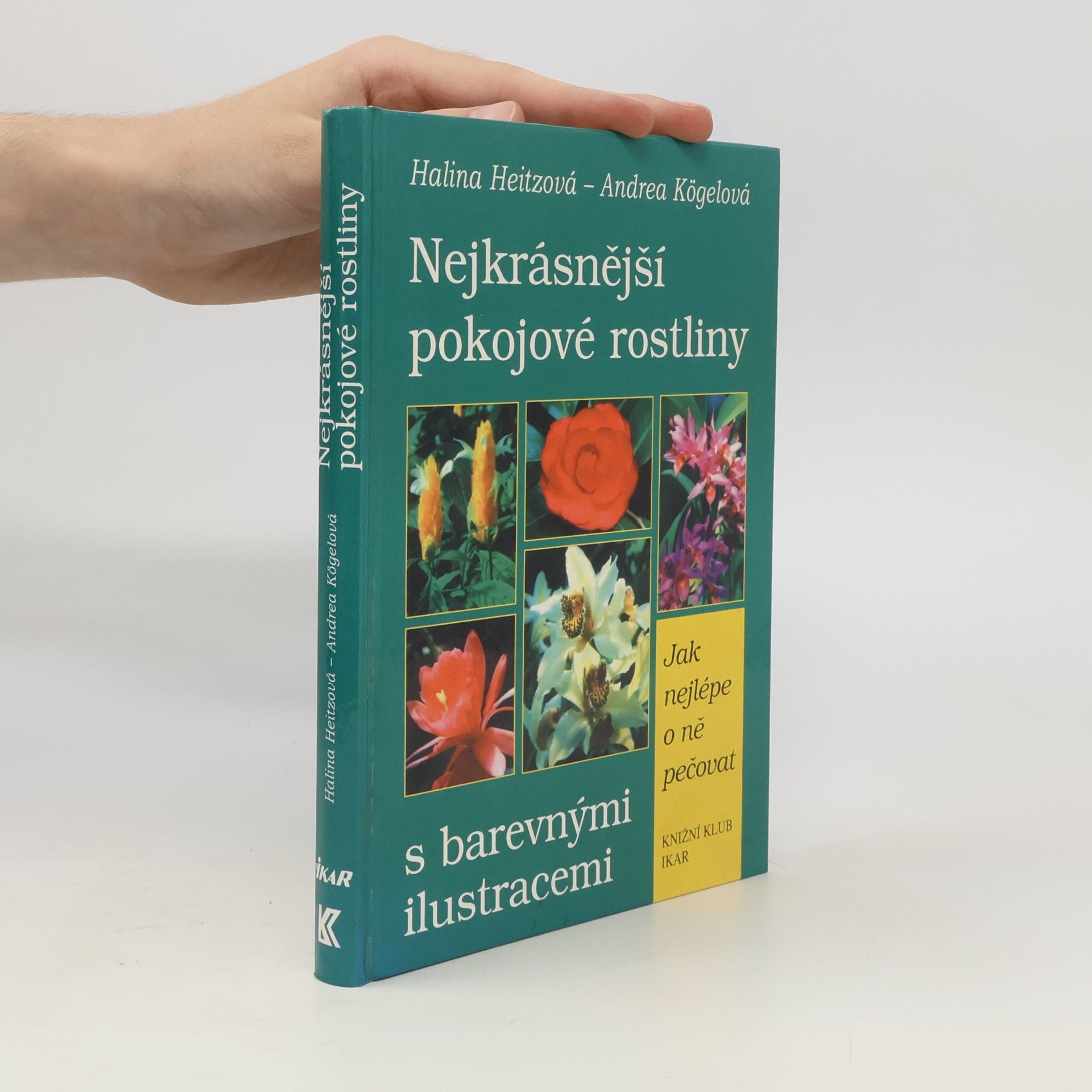 Andrea Kögel Nejkrásnější pokojové rostliny