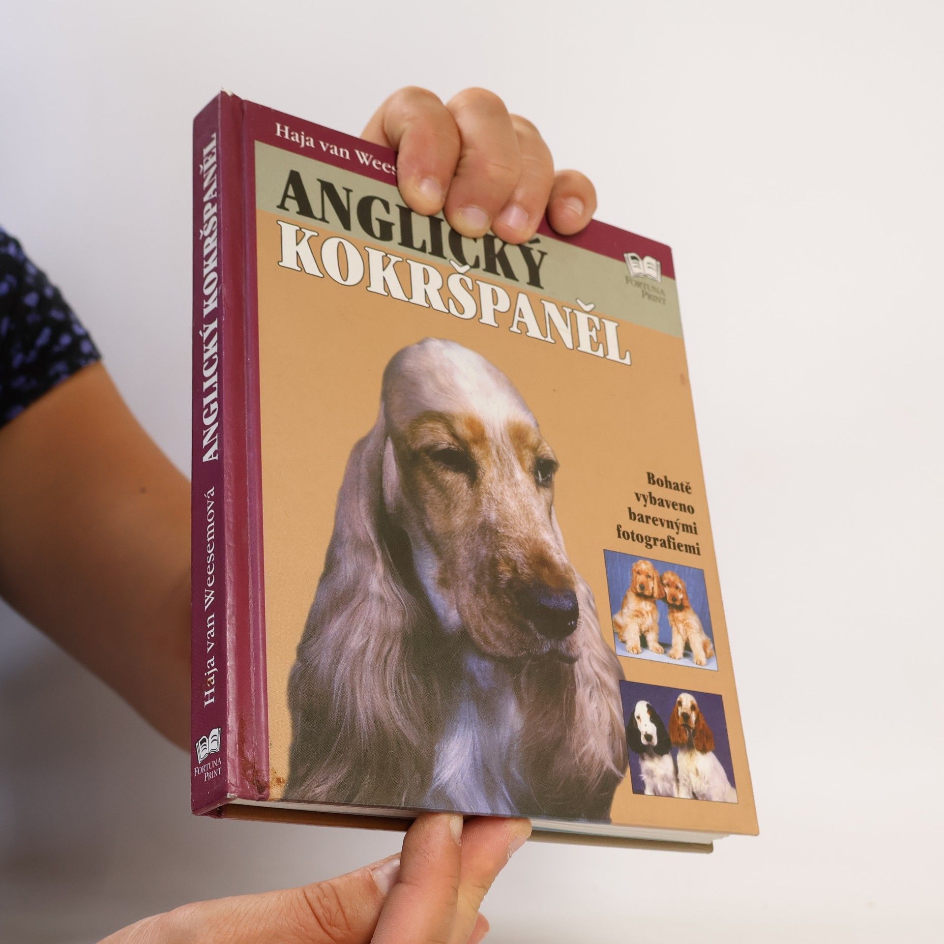 Haja van Wessem Anglický kokršpaněl