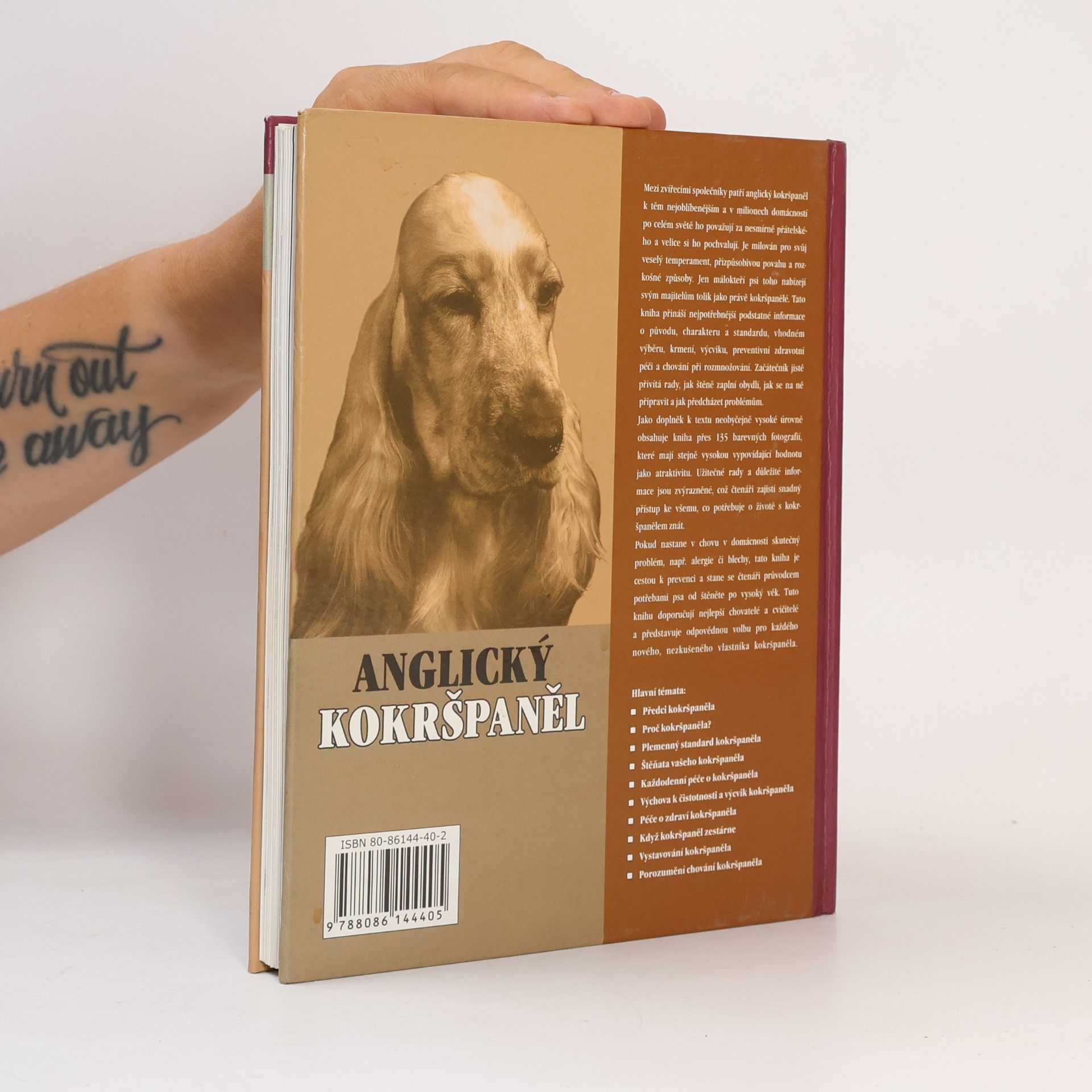 Haja van Wessem Anglický kokršpaněl