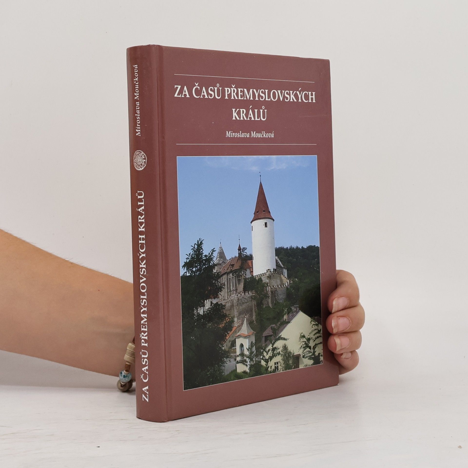 Za časů přemyslovských králů