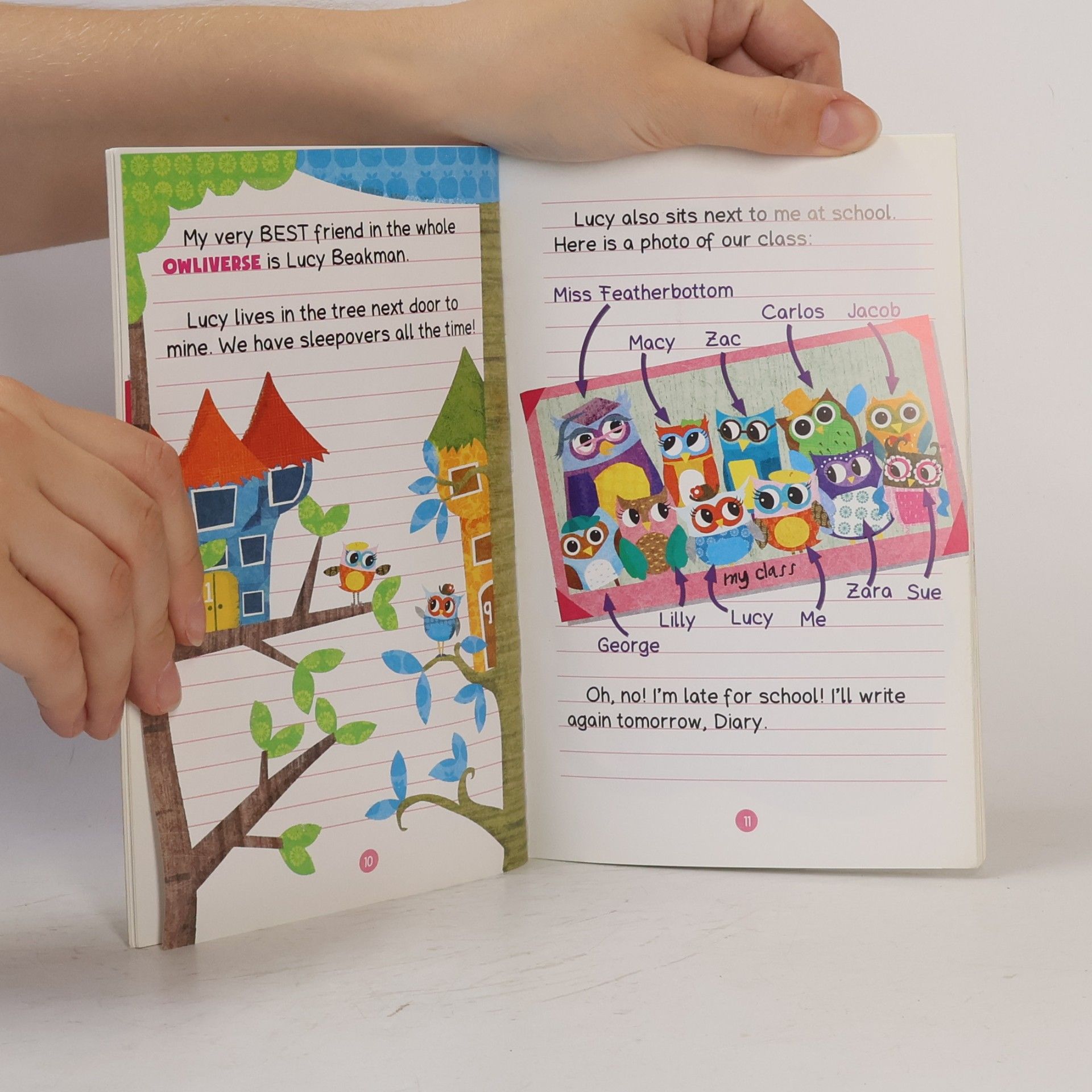 Rebecca Elliot Owl Diaries - 1: Eva's Treetop Festival