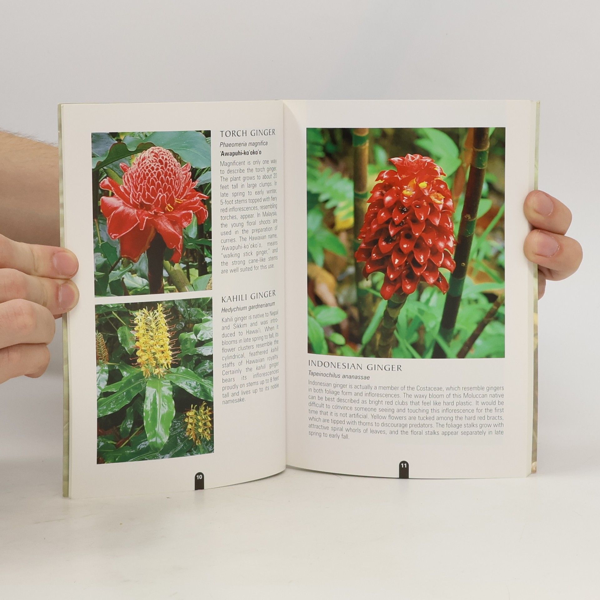 Leland Miyano A Pocket Guide to Hawai´i´s Flowers
