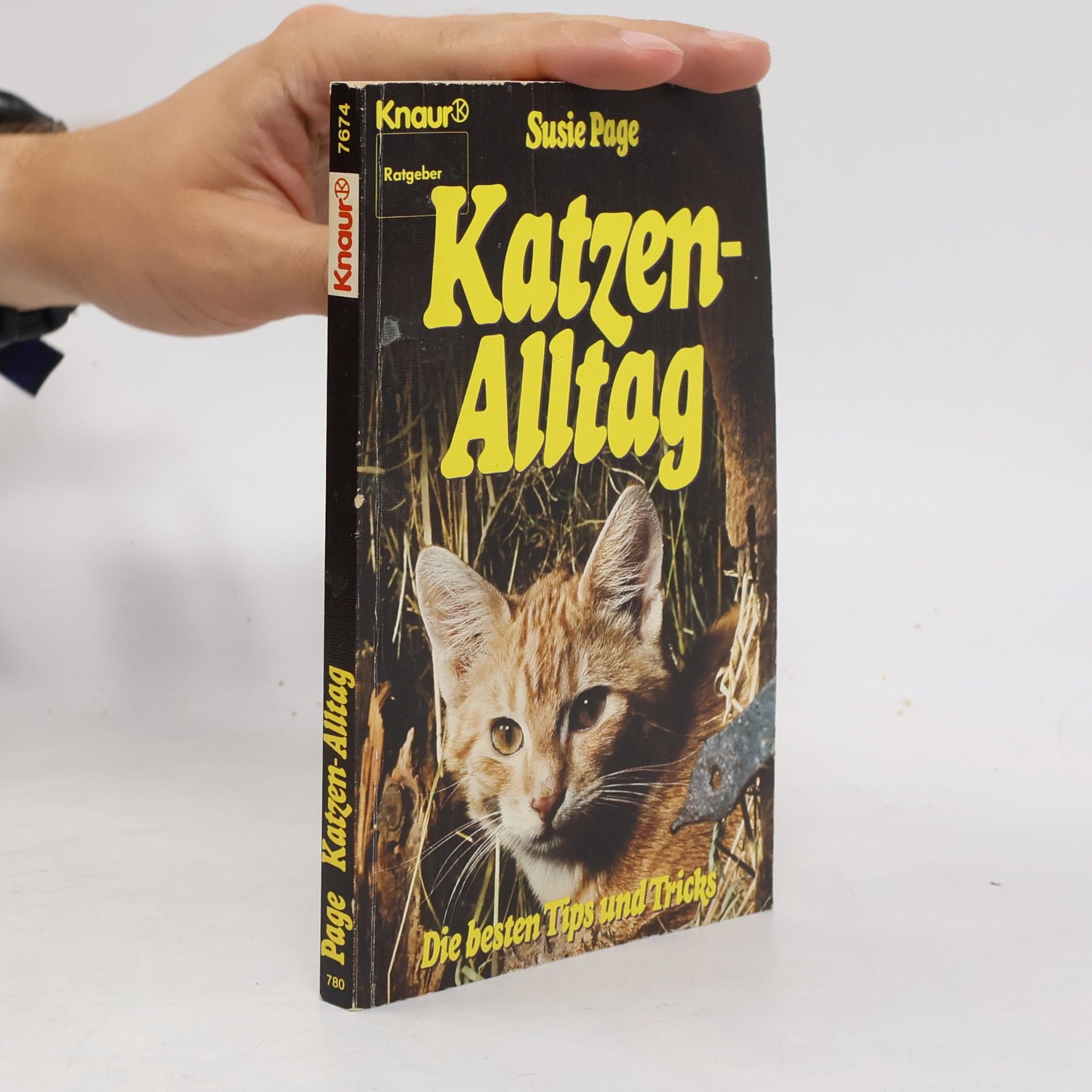 Susie Page Katzen-Alltag