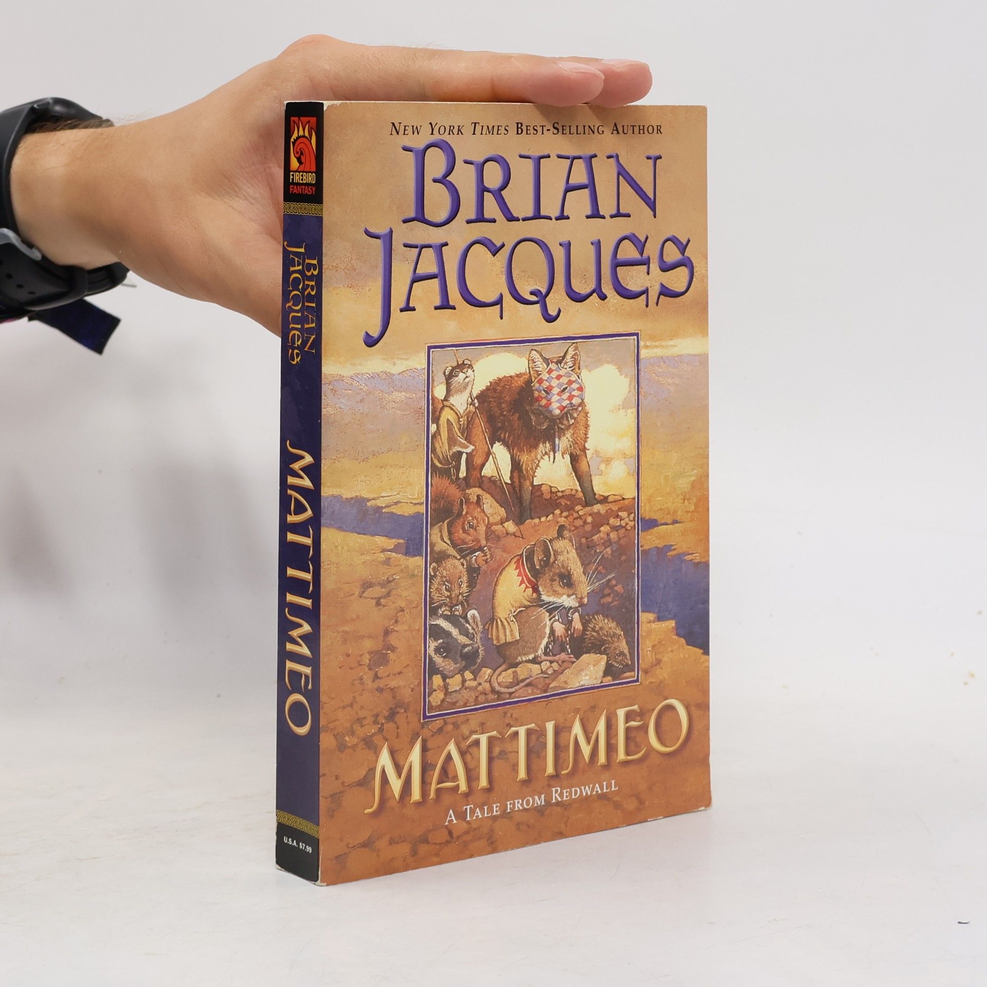 Brian Jacques Mattimeo