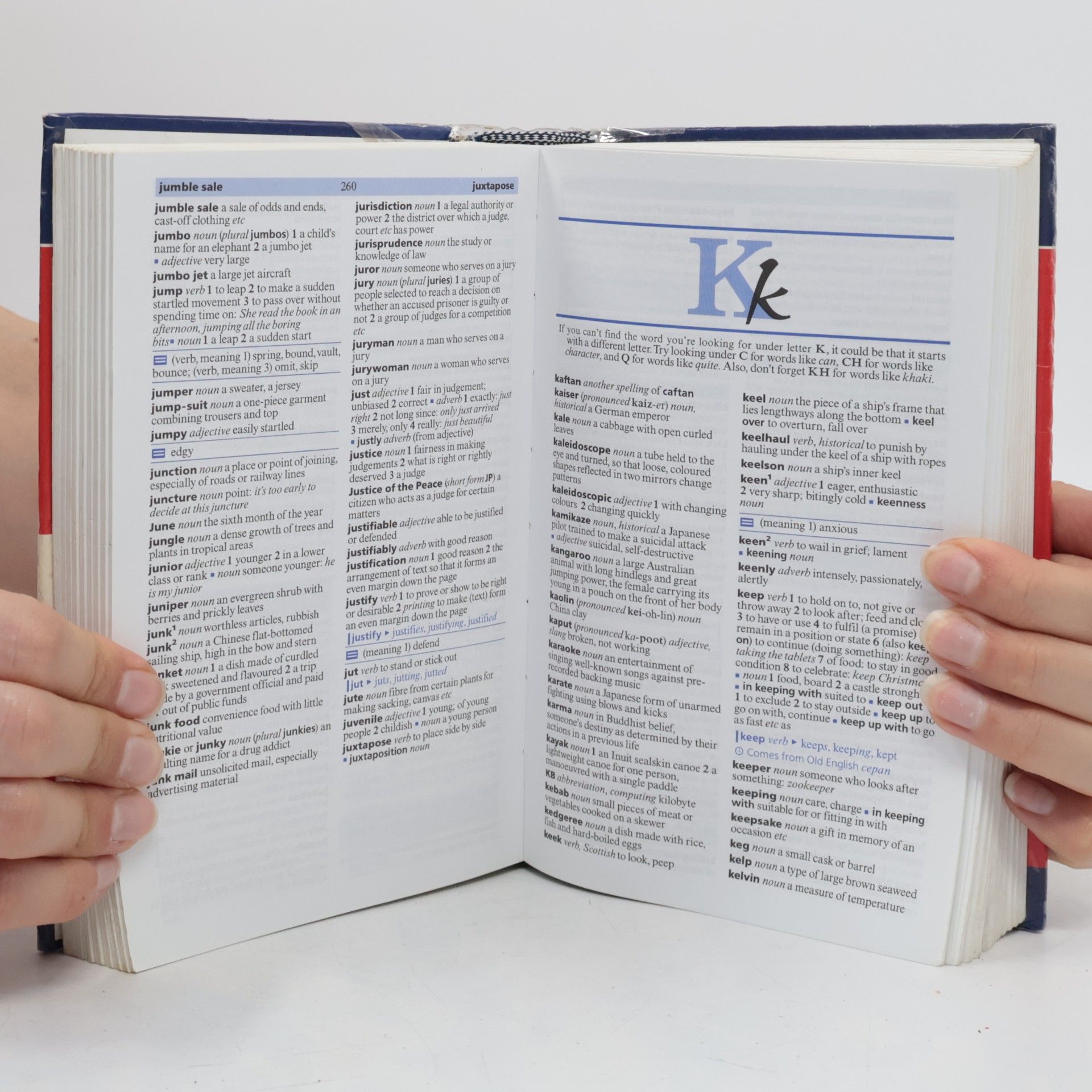 Imogen Kerr Chambers School Dictionary