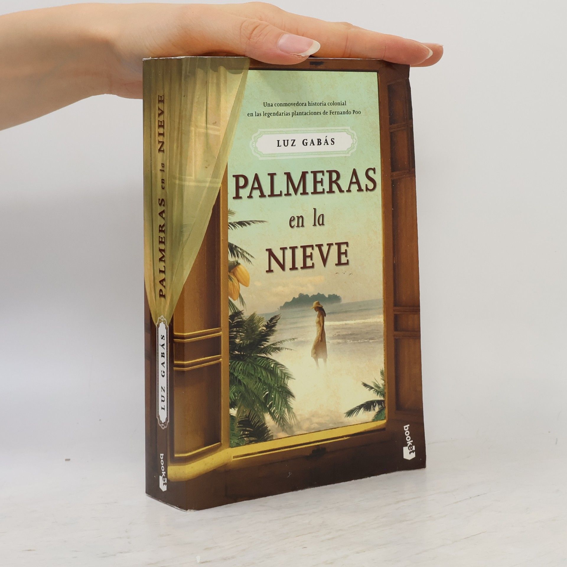 Luis Gabás Palmeras en la nieve