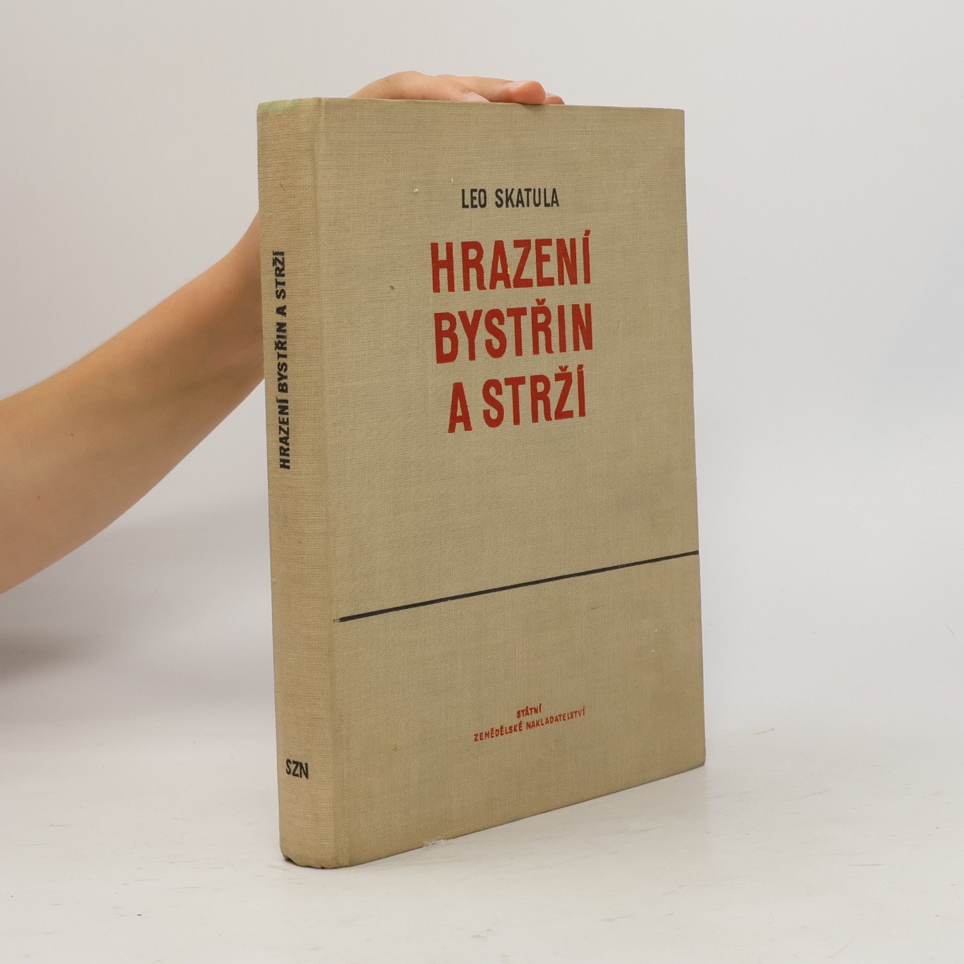 Leo Skatula Hrazení bystřin a strží