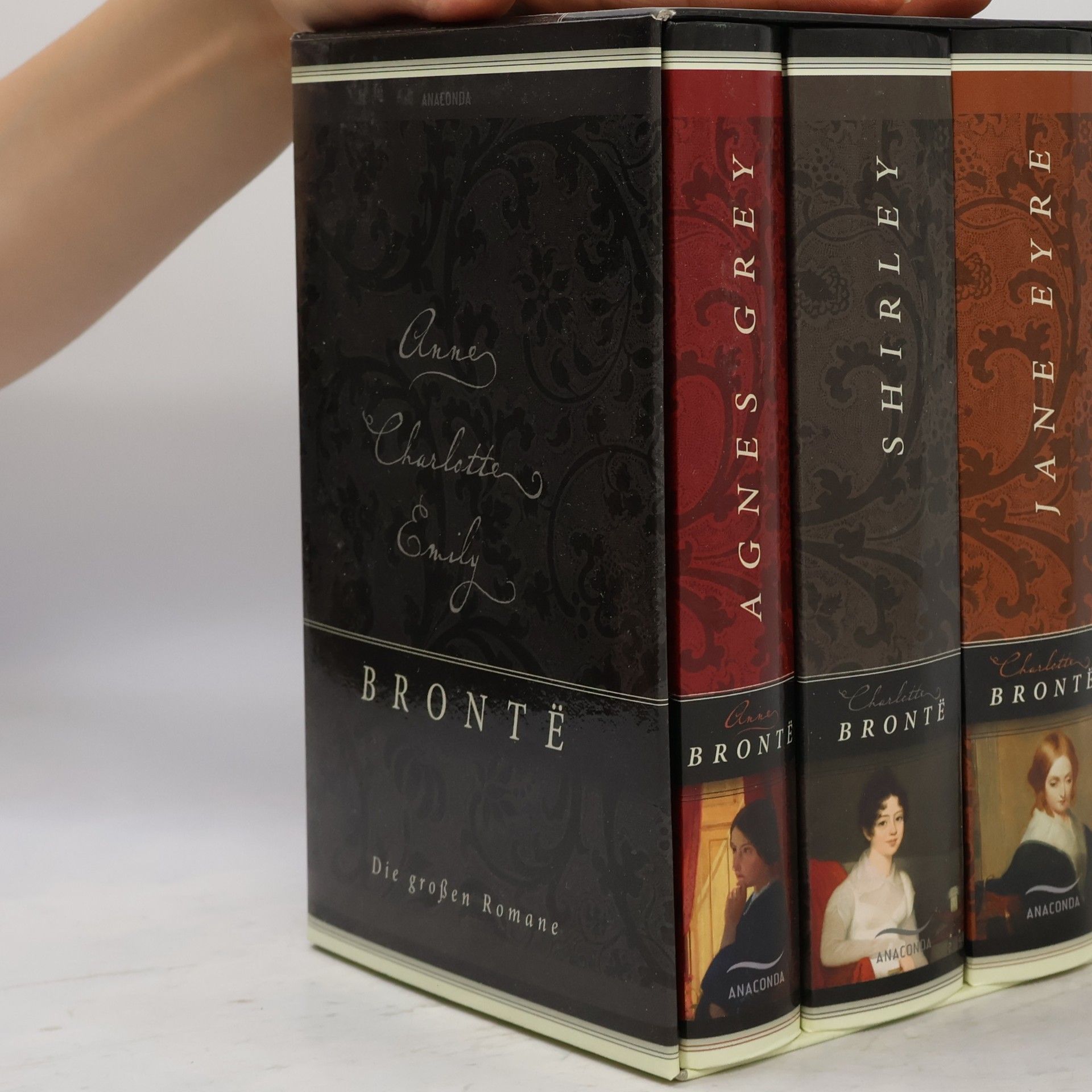 Emily Brontë Brontë. Die großen Romane