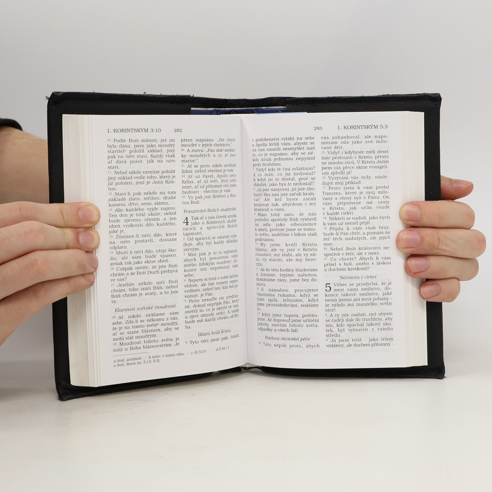 Alexandr Flek Bible. Nový zákon. Česky Nová Bible kralická. Nový Zákon našeho Pána Spasitele Ježíše Krista Nový Zákon našeho Pána Spasitele Ježíše Krist