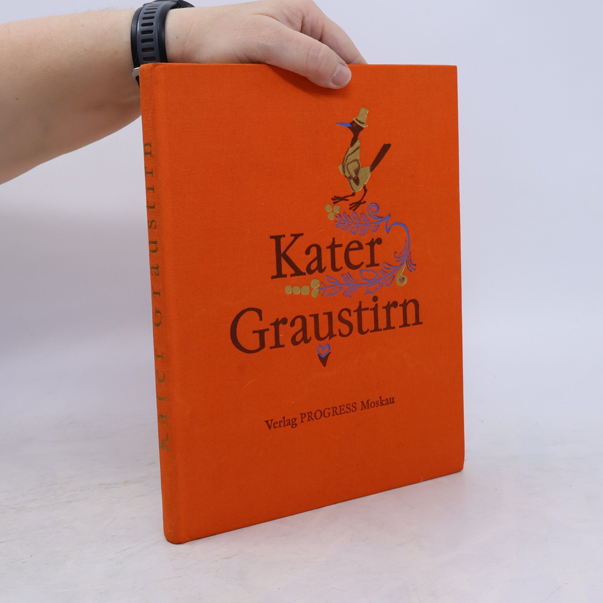 Autorenkollektiv Kater Graustirn
