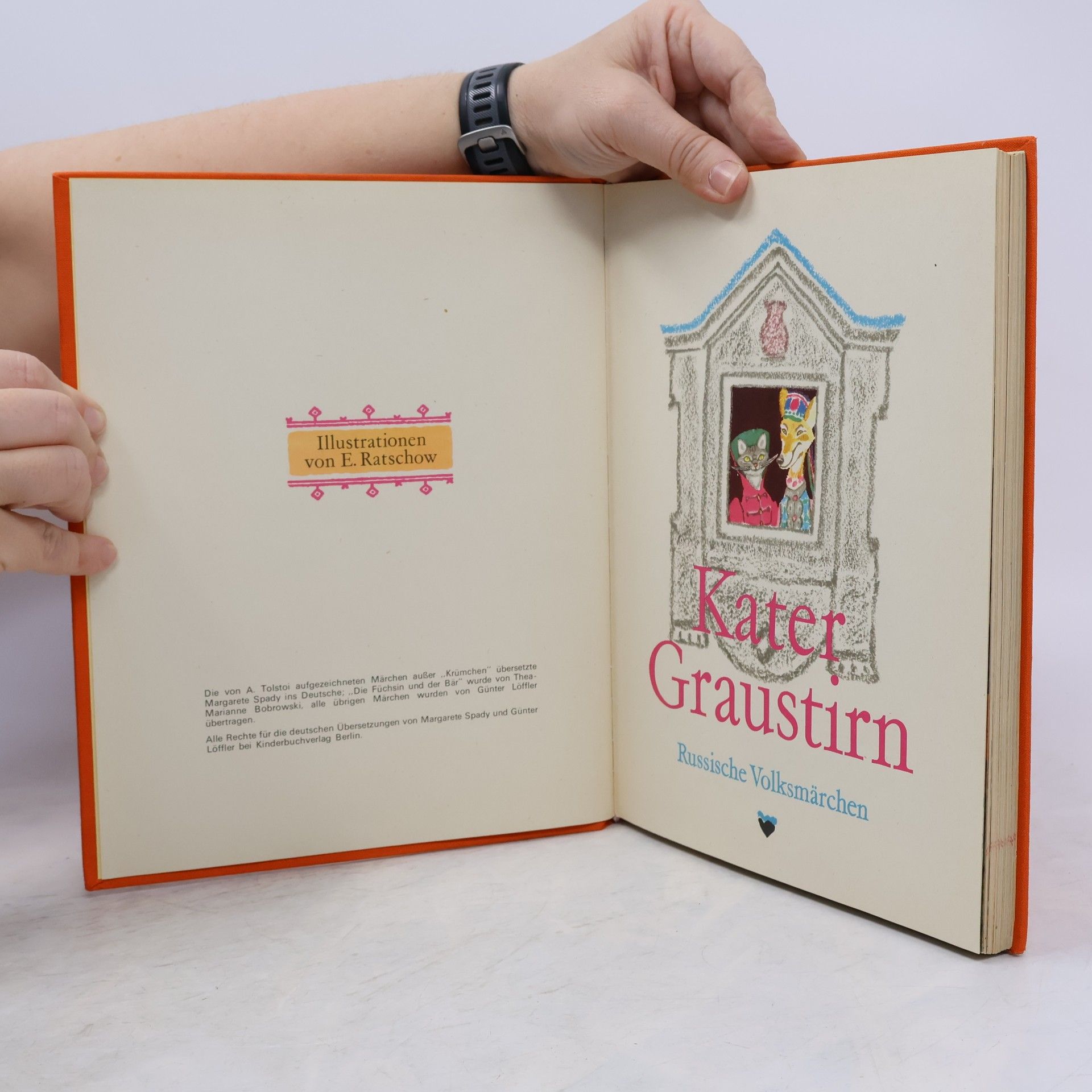 Autorenkollektiv Kater Graustirn