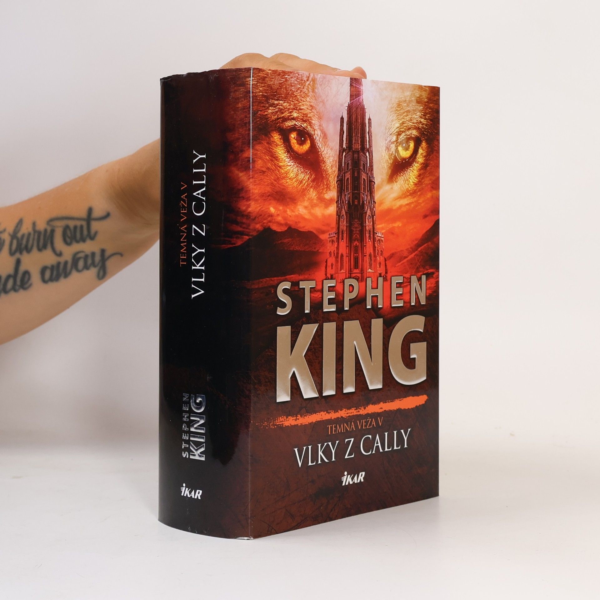 Stephen King Vlky z Cally