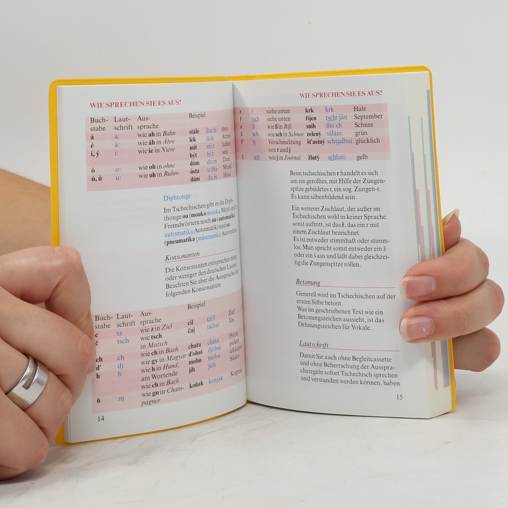 Kolektiv autorů Langenscheidts Sprachführer Tschechisch : mit Reisewörterbuch