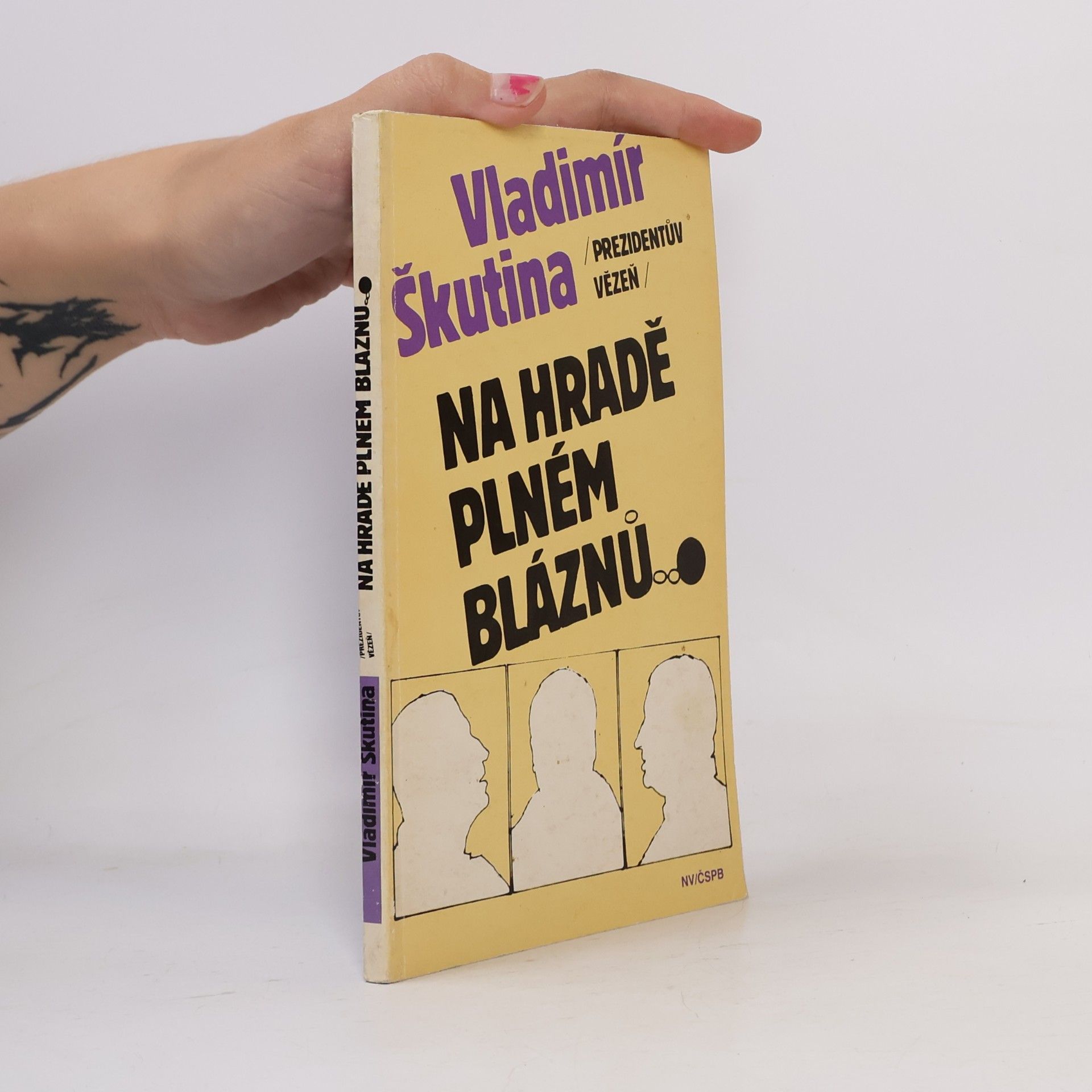 Vladimír Škutina Na hradě plném bláznů