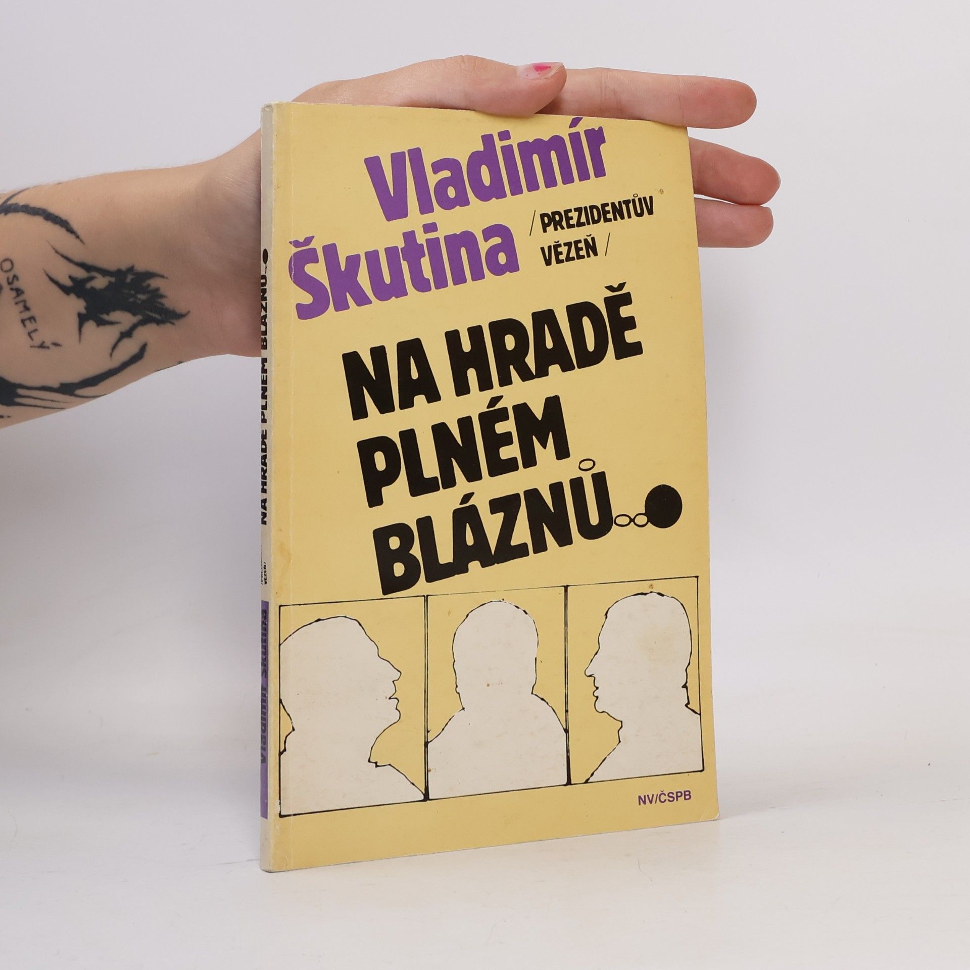 Vladimír Škutina Na hradě plném bláznů