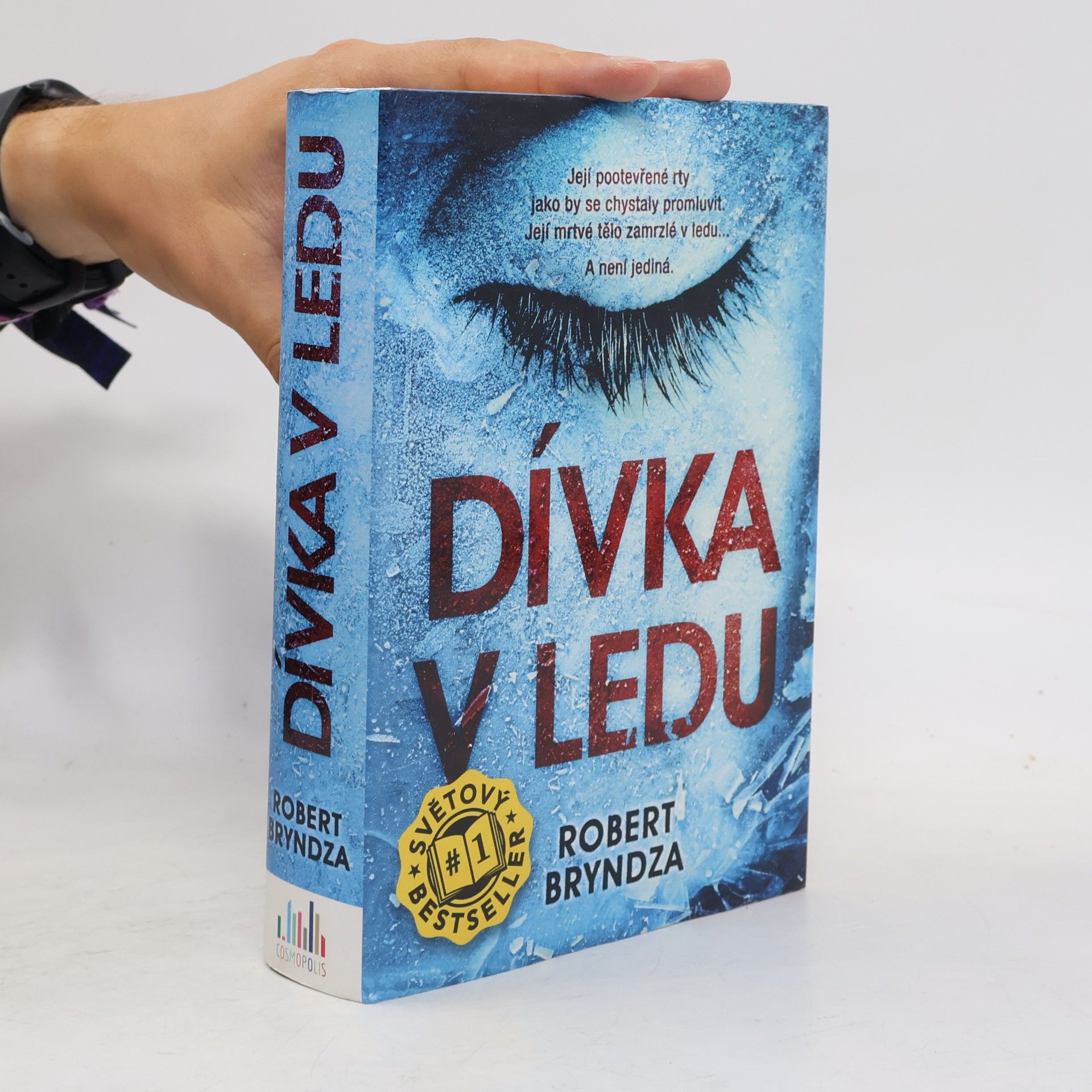 Robert Bryndza Dívka v ledu