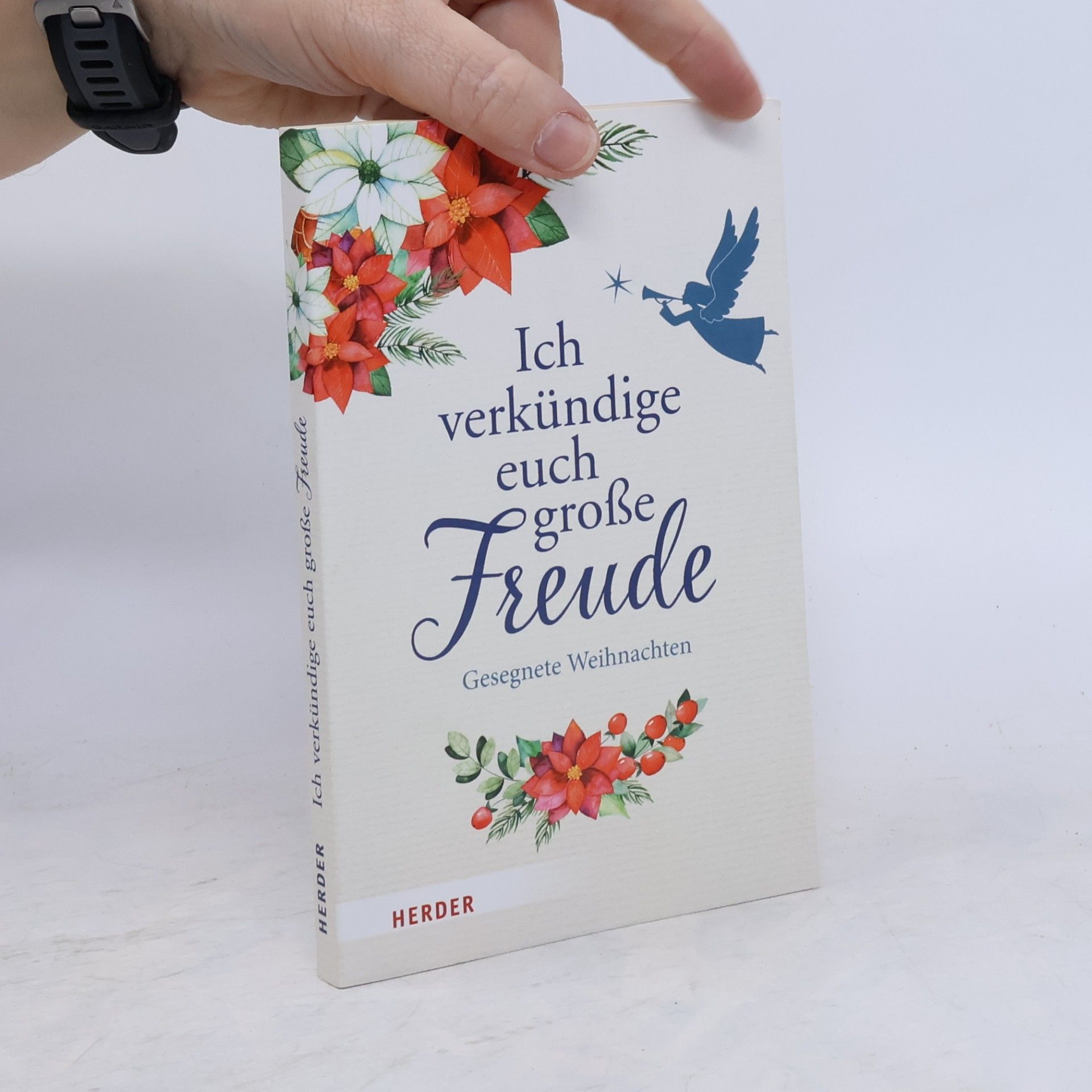 Ich verkündige euch große Freude