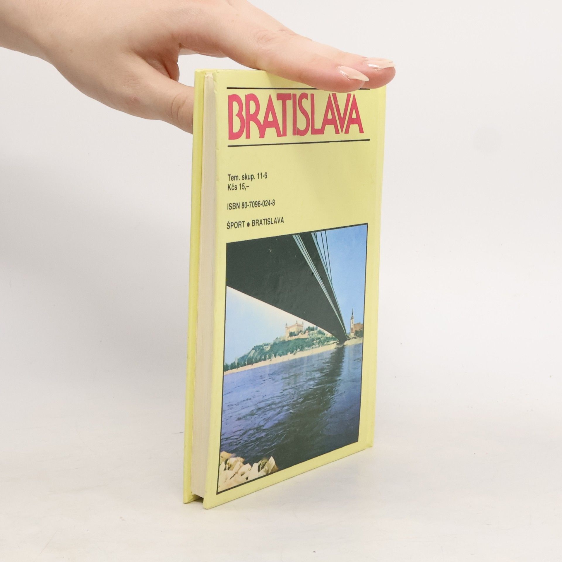 Vladimír Hančin Bratislava sprievodca