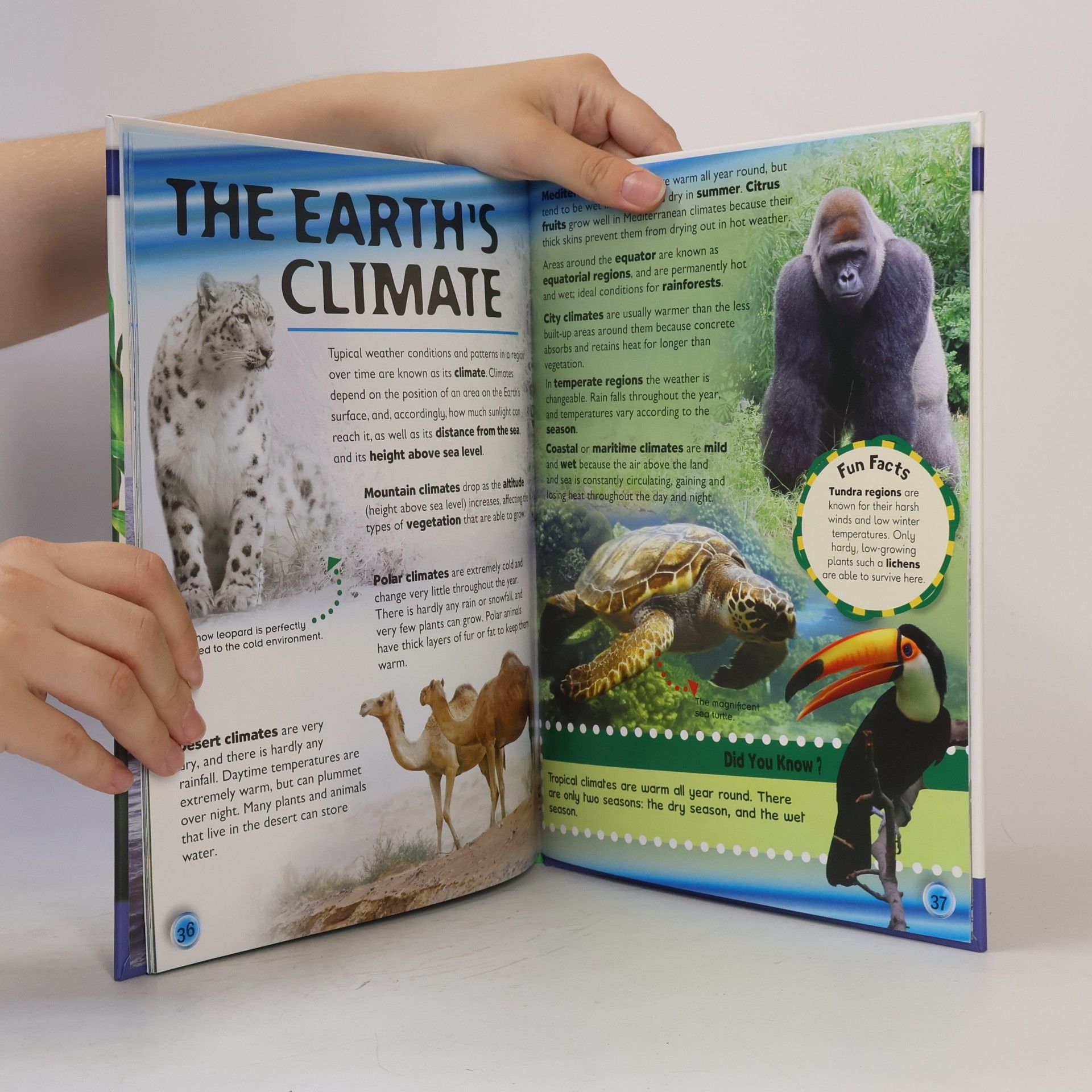 Kolektiv autorů Discover The Earth