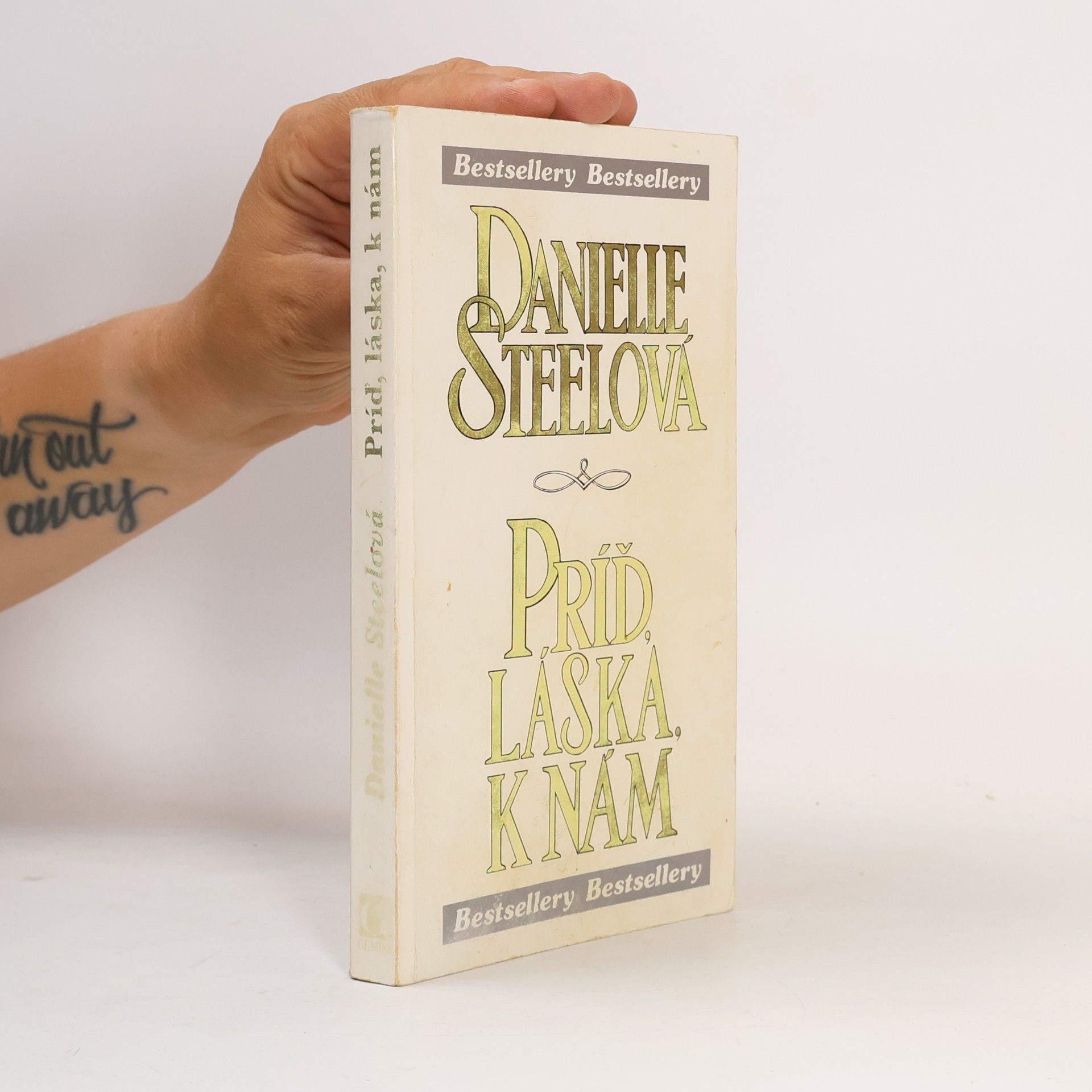 Danielle Steel Príď láska k nám