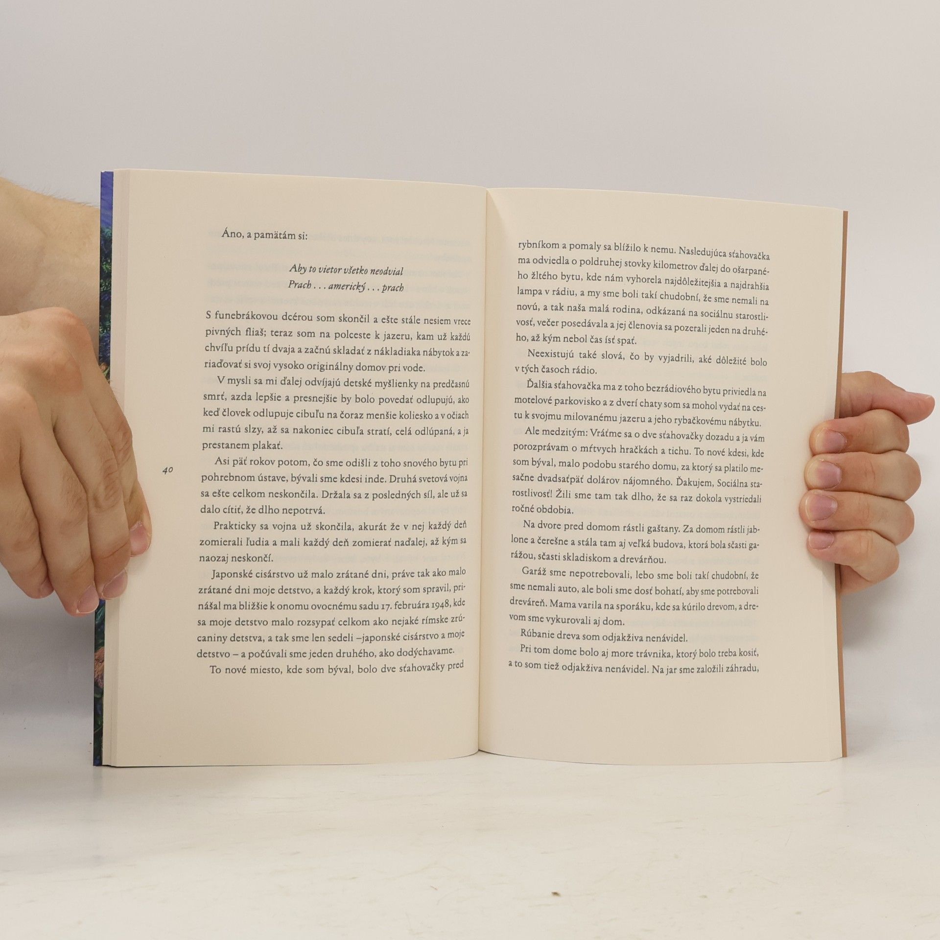 Richard Brautigan Aby to vietor všetko neodvial