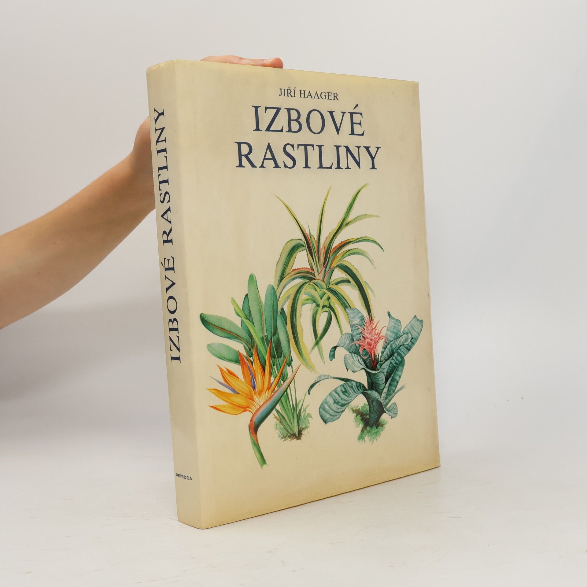 Izbové rastliny