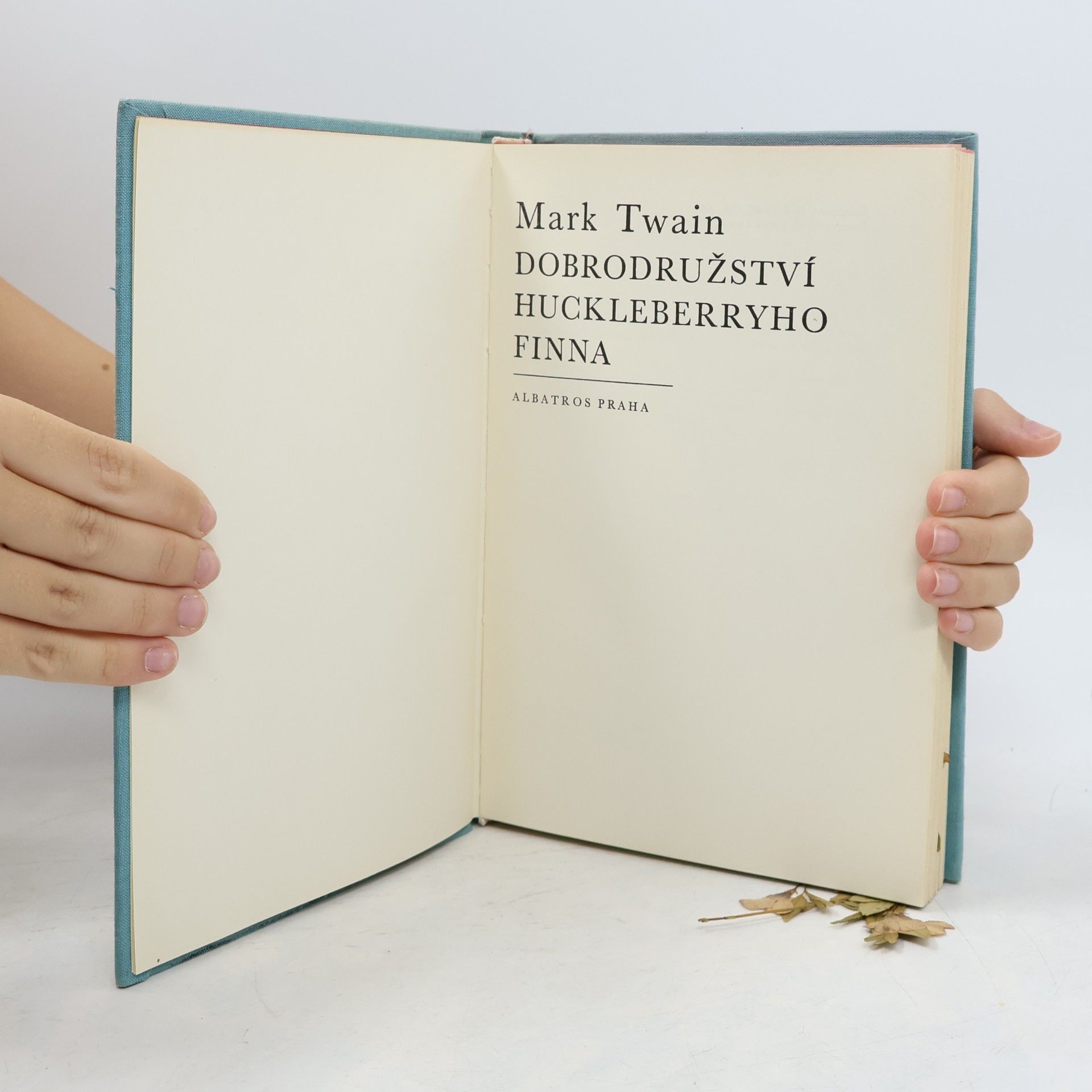 Mark Twain Dobrodružství Huckleberryho Finna