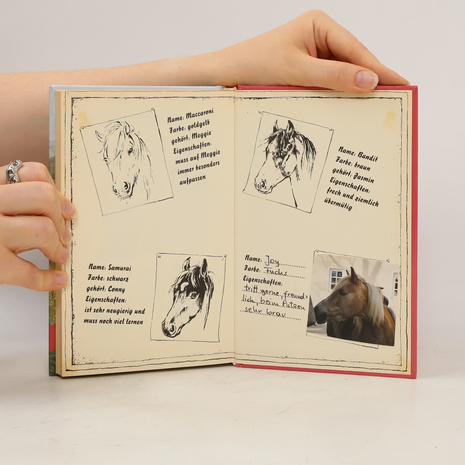 Bonnie Bryant Ponybande: Ein Pony verschwindet