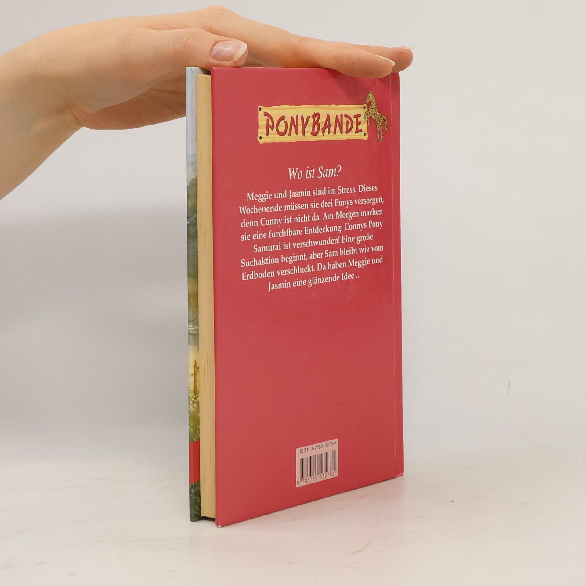 Bonnie Bryant Ponybande: Ein Pony verschwindet