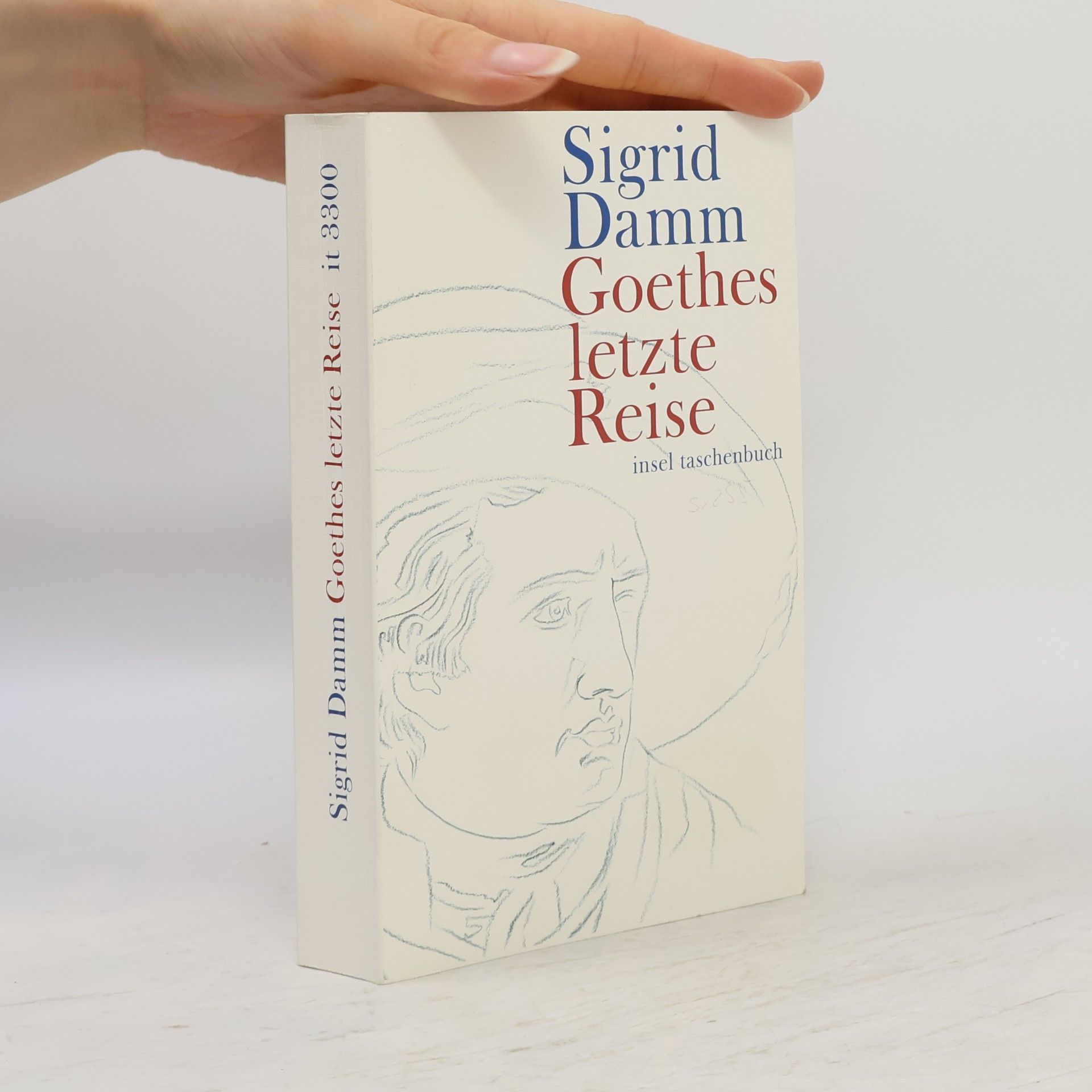 Sigrid Damm Goethes letzte Reise