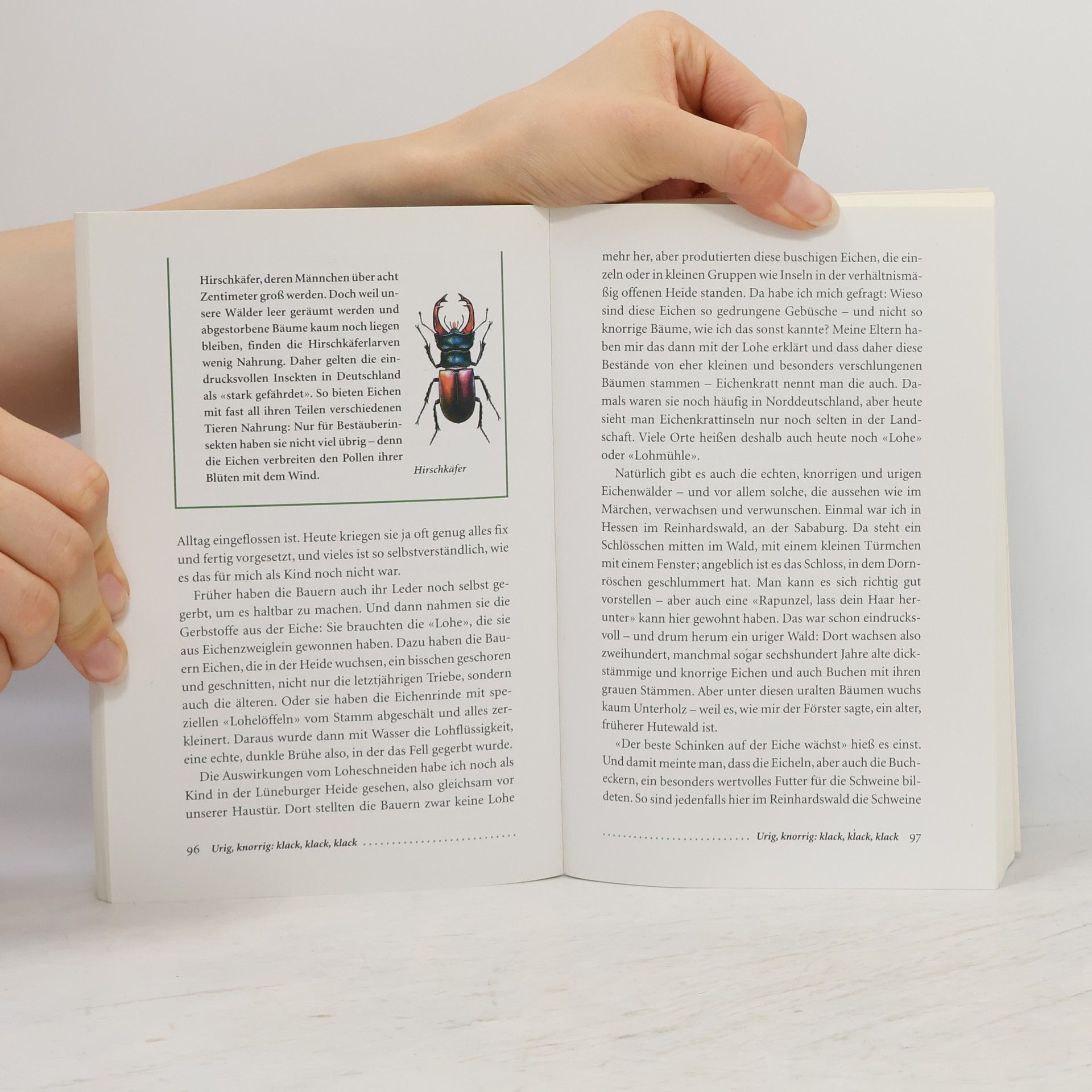Loki Schmidt Das Naturbuch für Neugierige