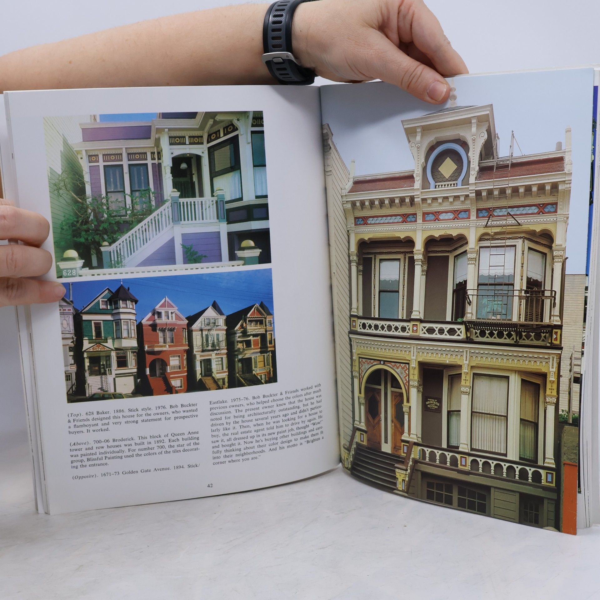 Morley Baer Painted Ladies
