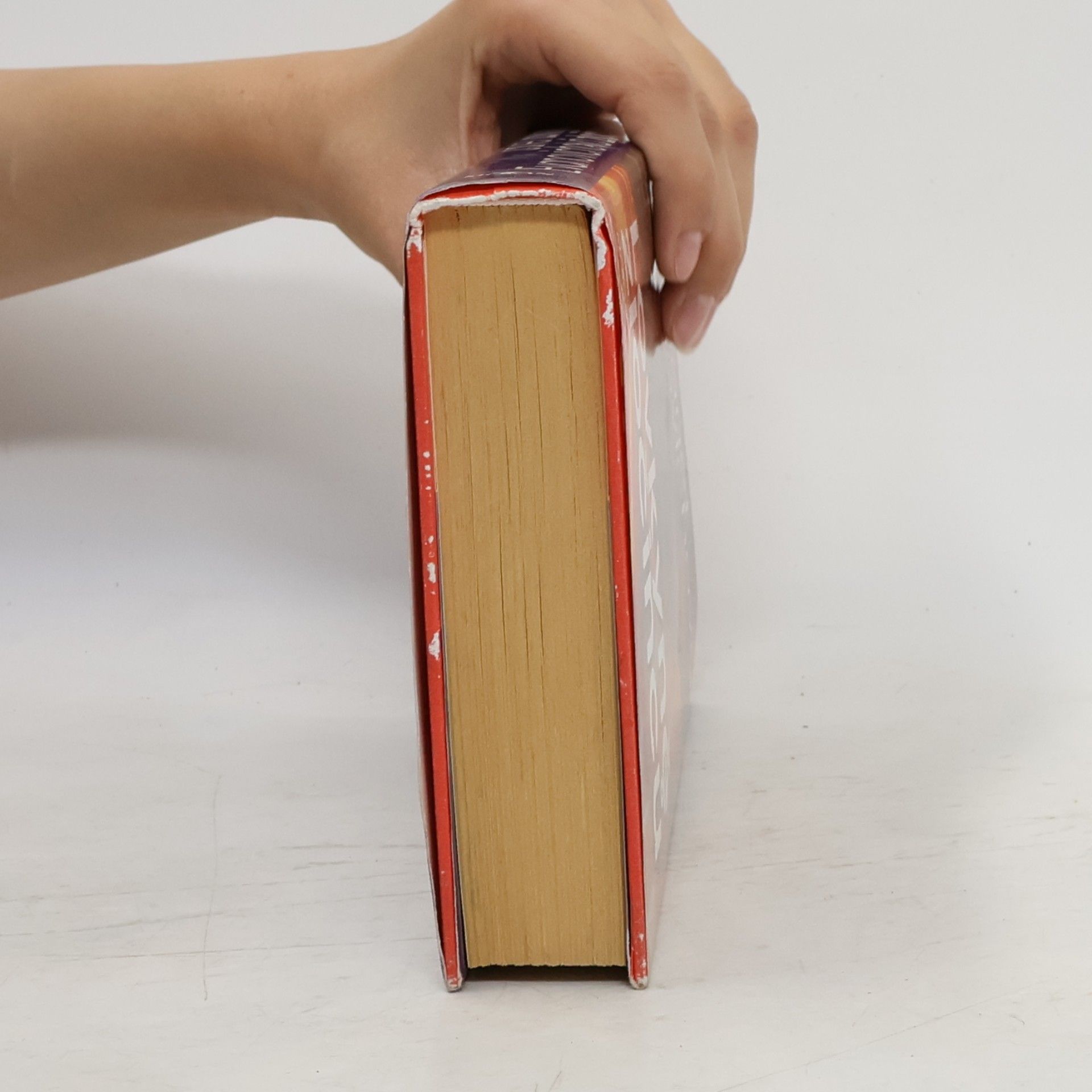 Janet Evanovich Lovkyně zločinců
