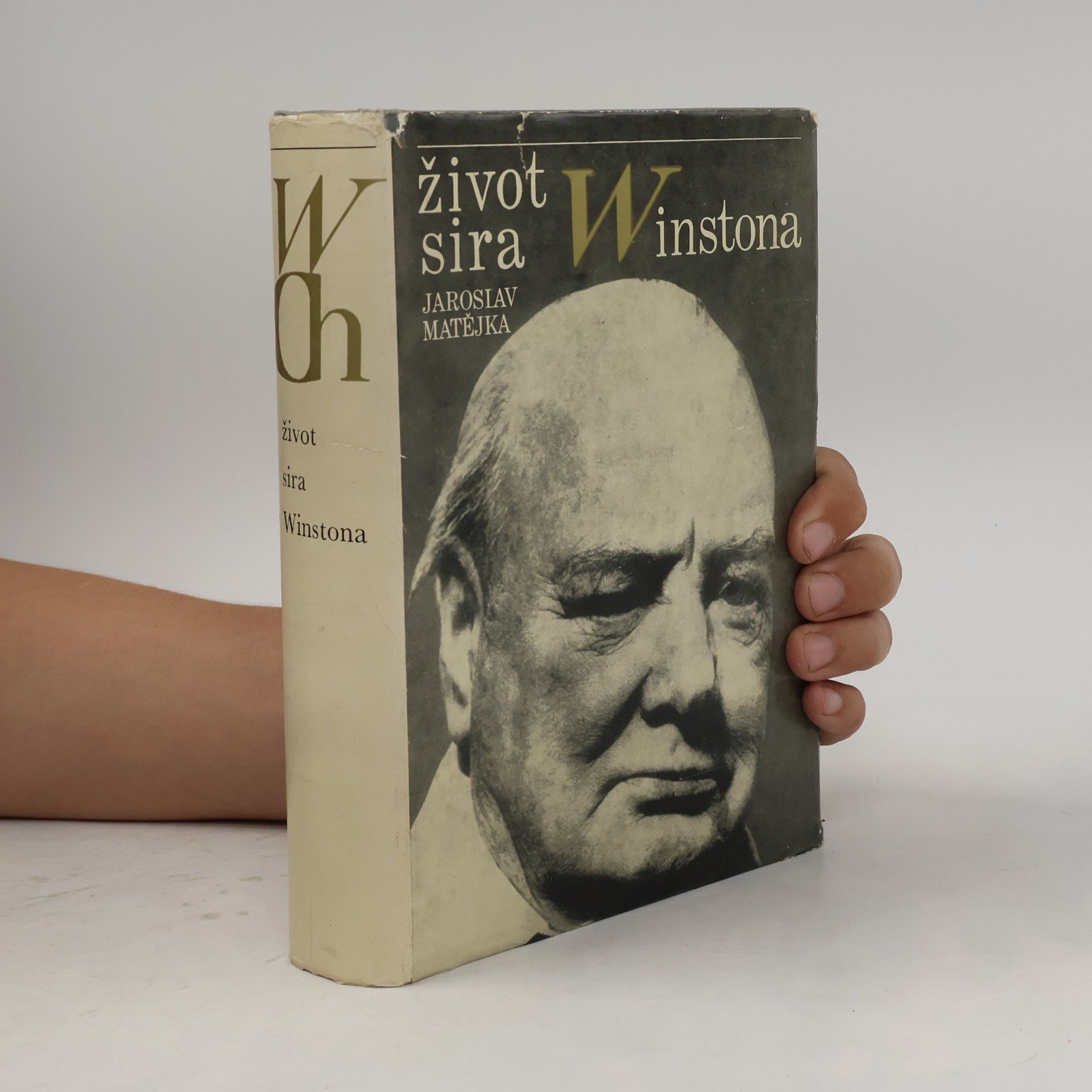 Jaroslav Matějka Život sira Winstona