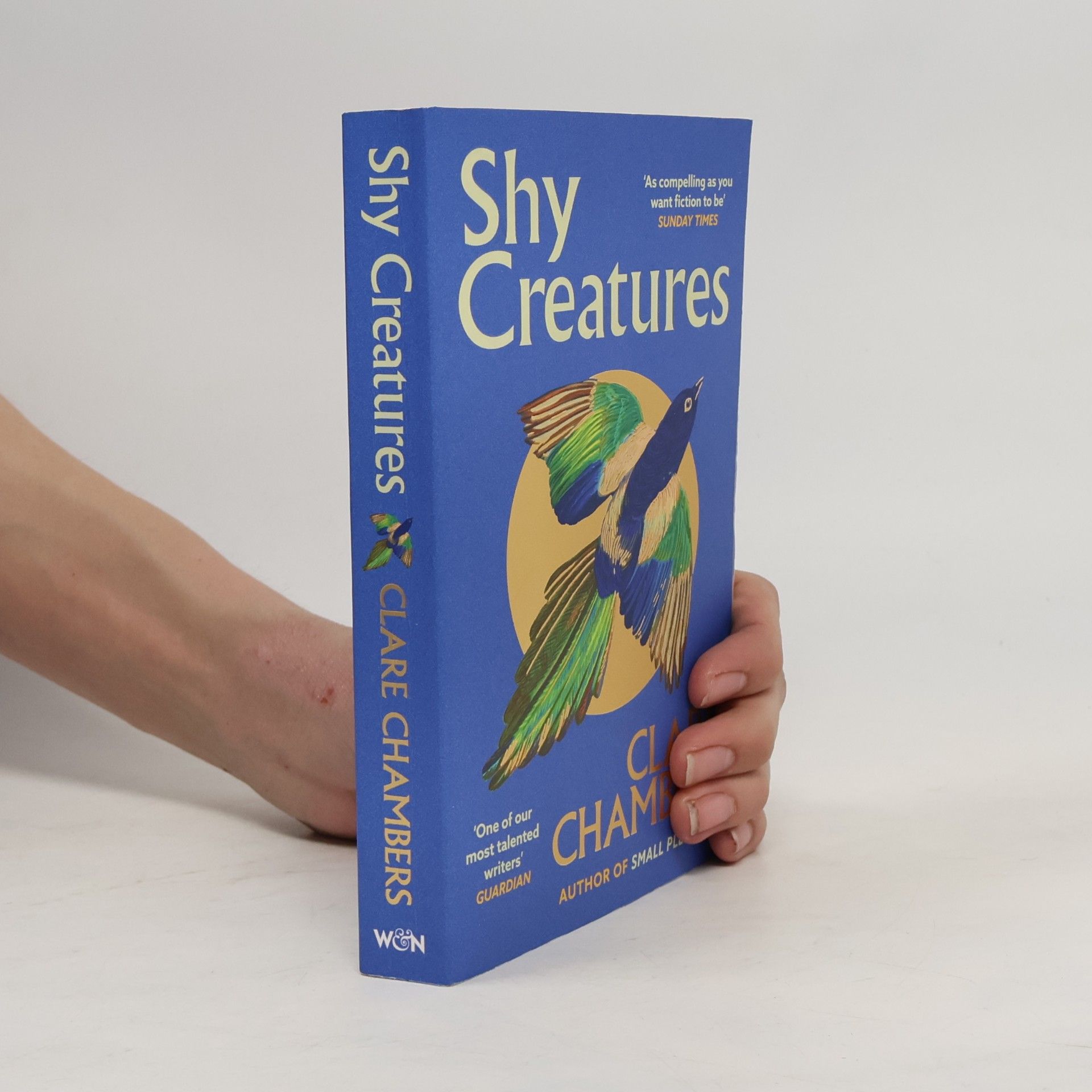 Clare Chambers Shy Creatures