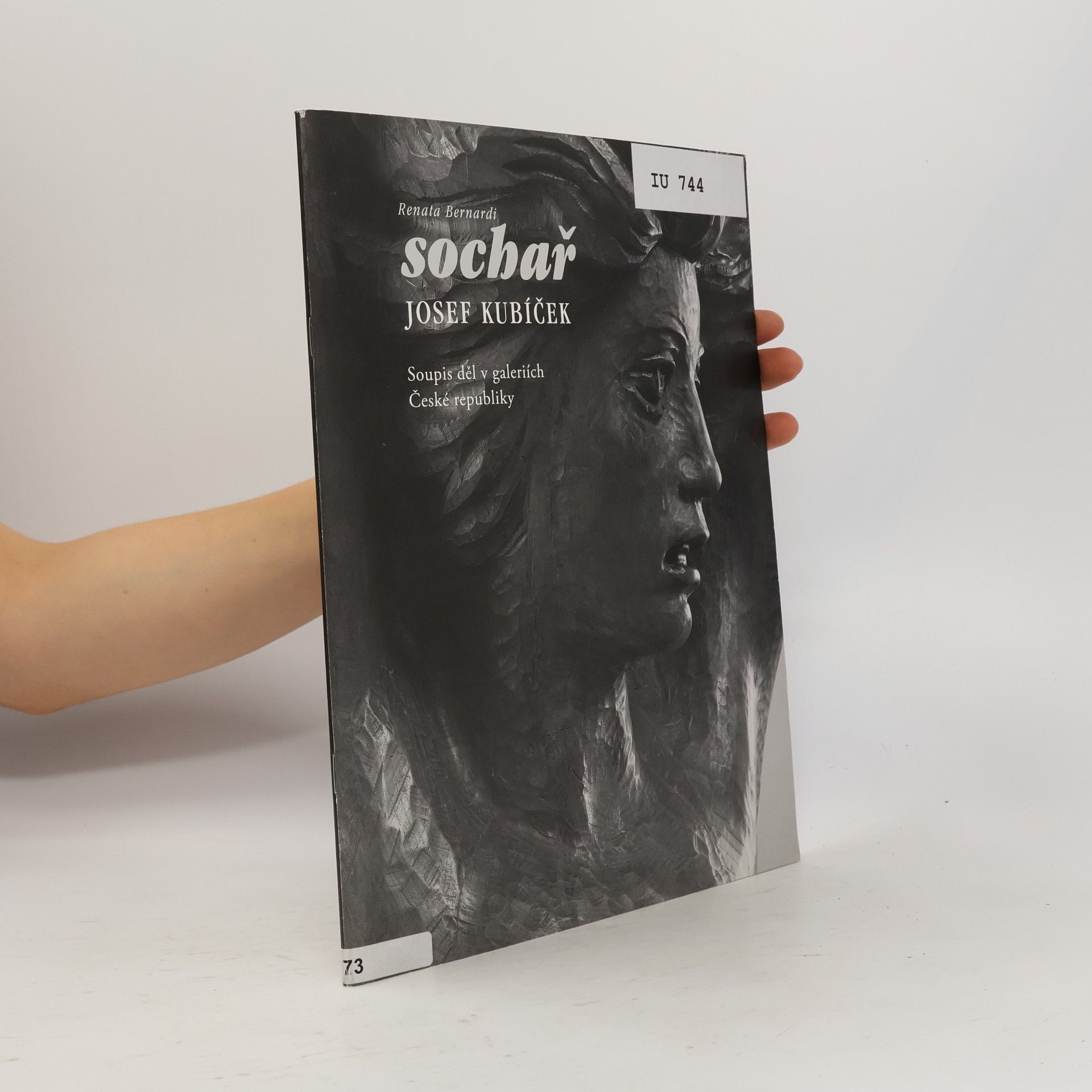 Renata Bernardi Sochař Josef Kubíček : soupis děl v galeriích České republiky