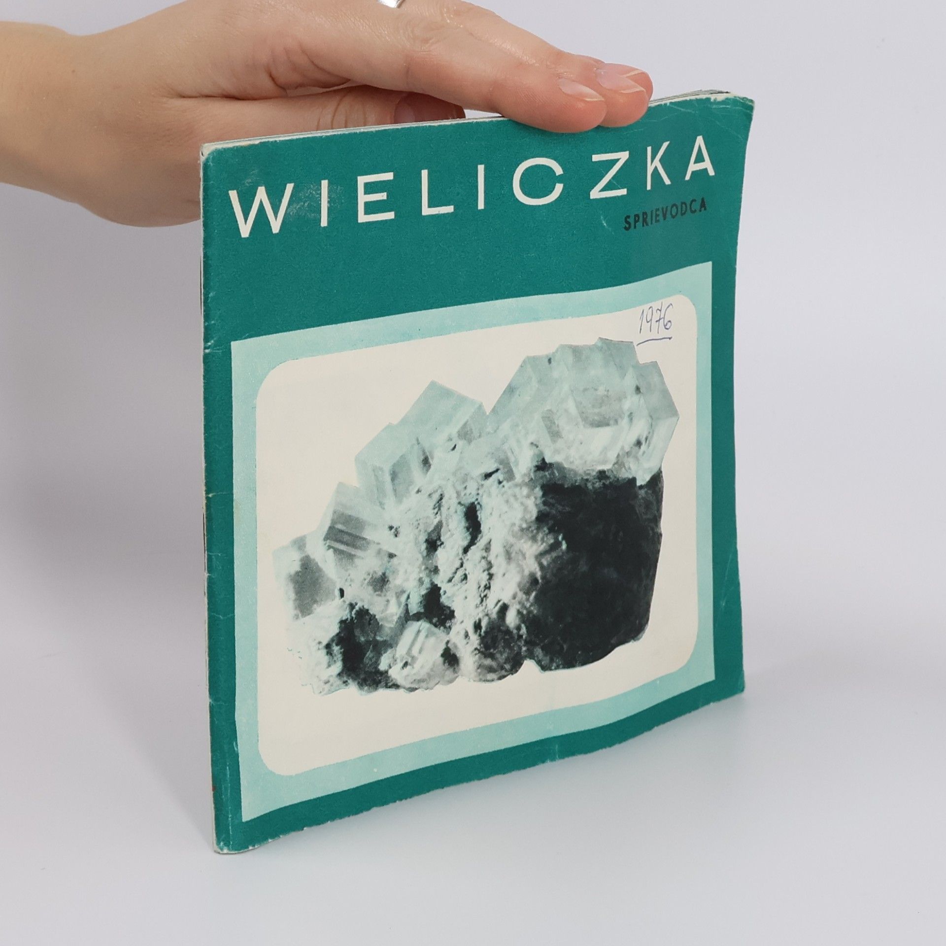Collectif d'auteurs Wieliczka. Sprievodca