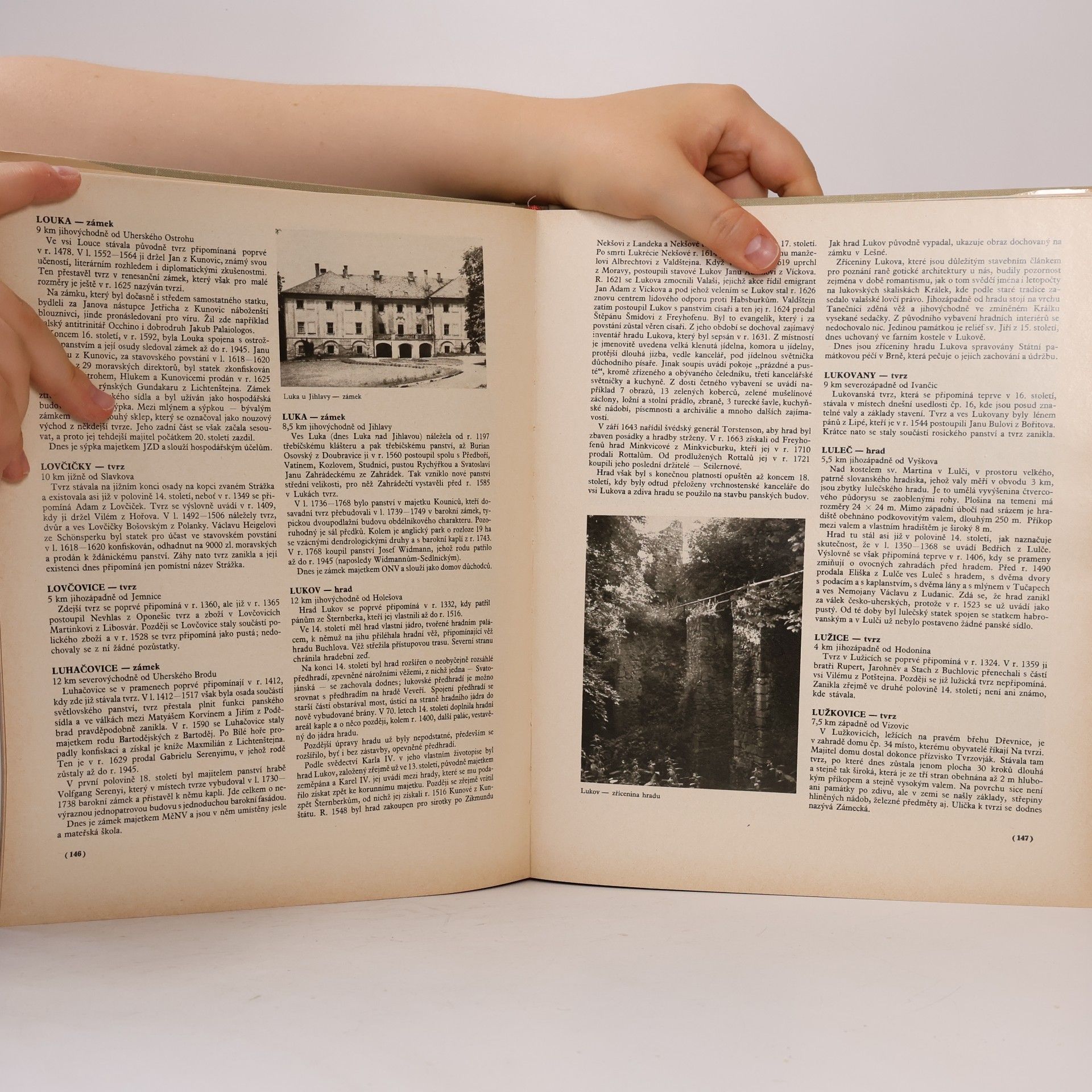 Various authors Hrady, zámky a tvrze v Čechách, na Moravě a ve Slezsku I. Jižní Morava